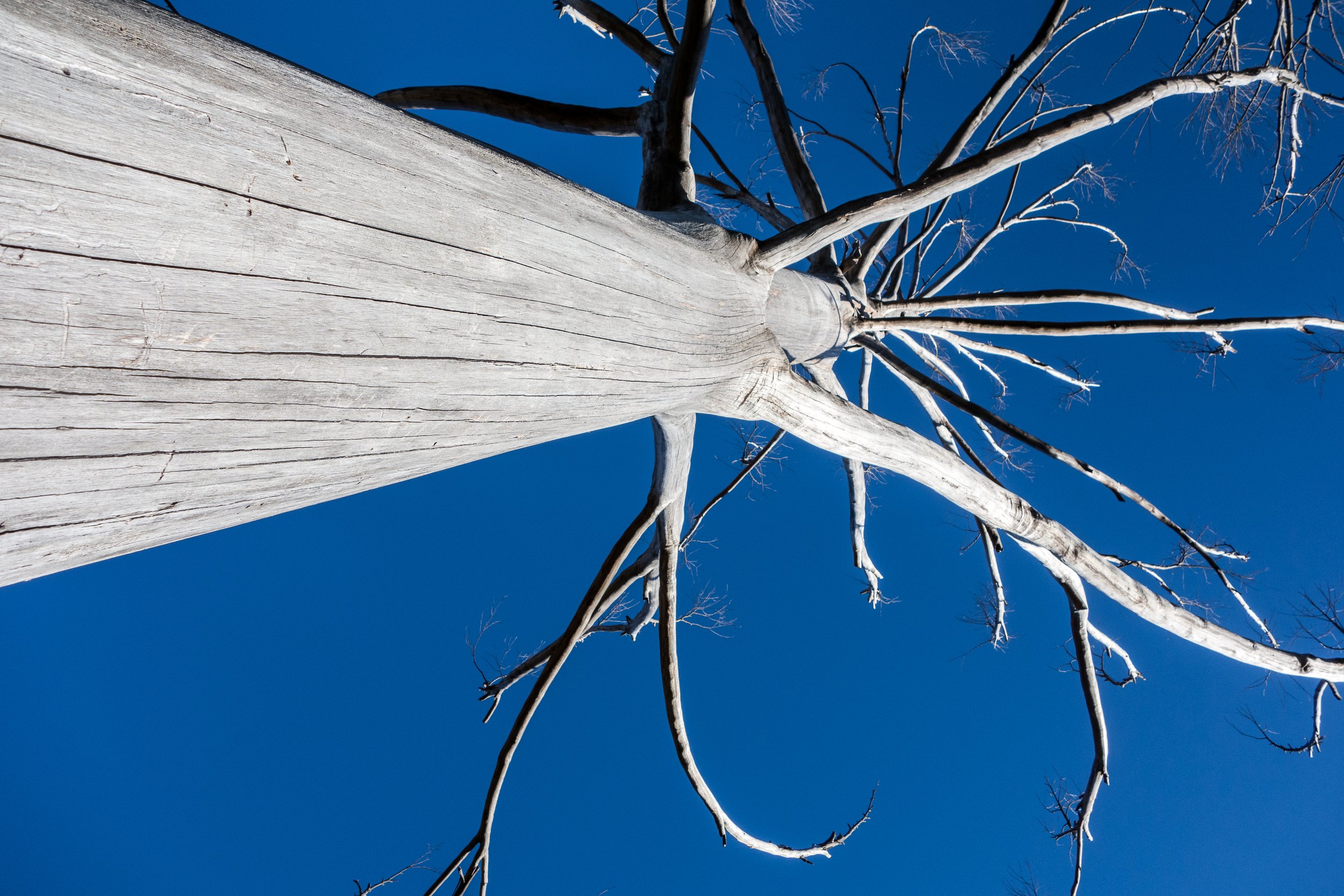 20140817-_DSC5812_Niseko_Photography_.jpg