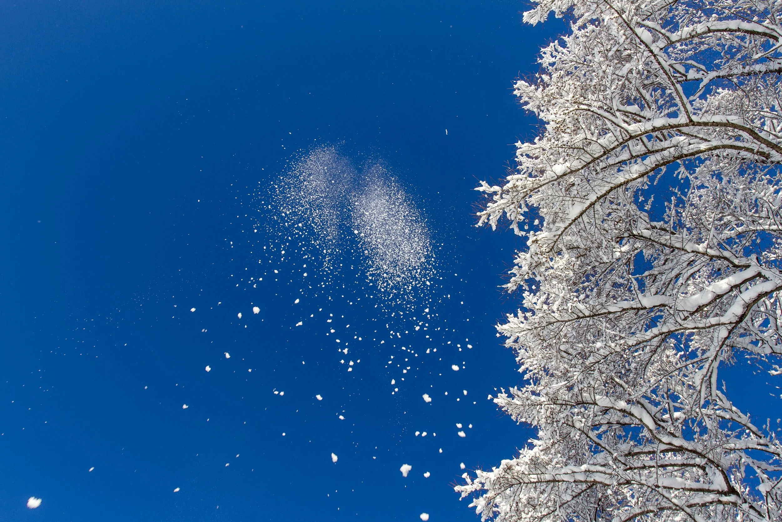 20151230_Niseko_Photography__MG_0826.jpg