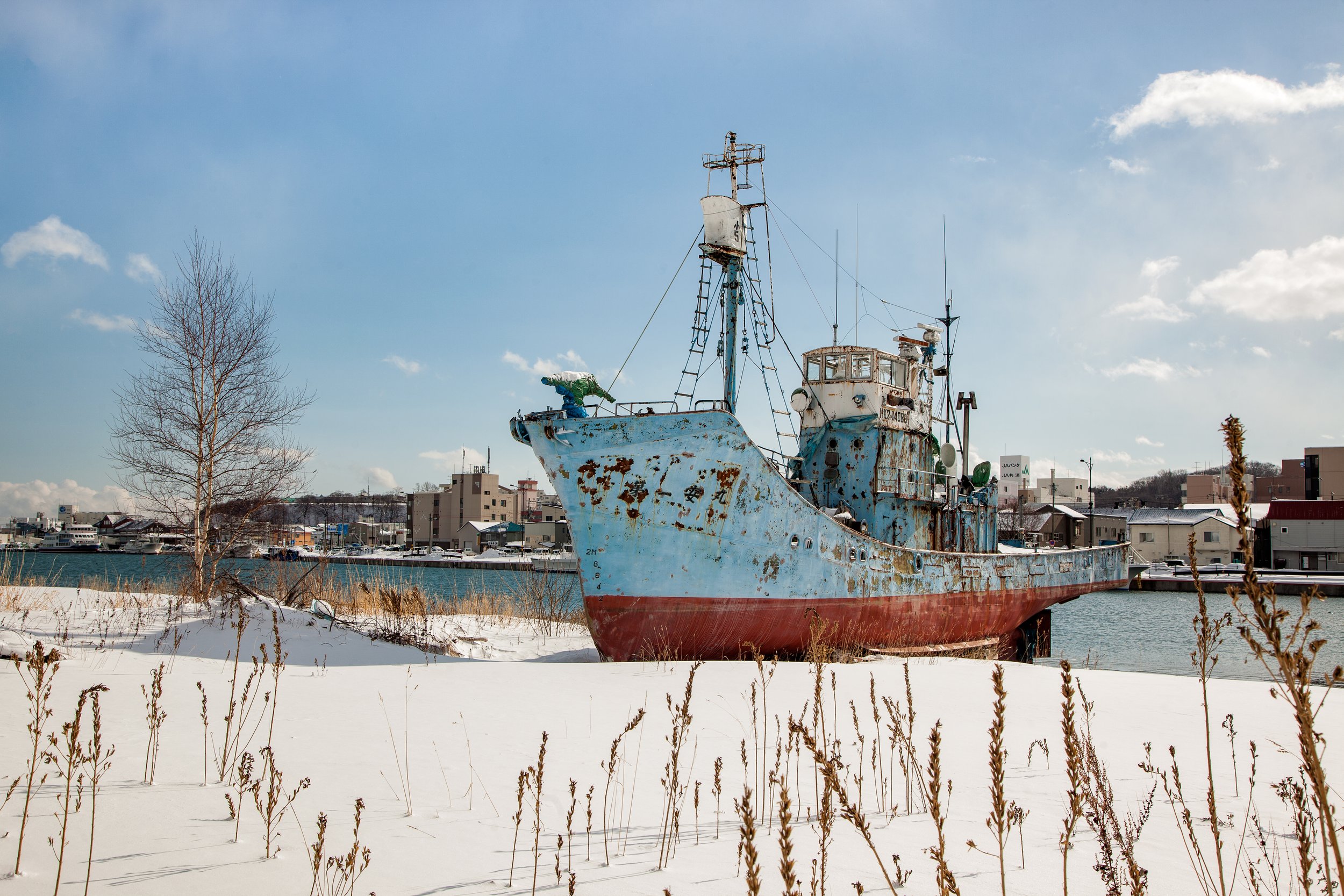 20180129-_MG_0013NisekoPhotographyDT.jpg