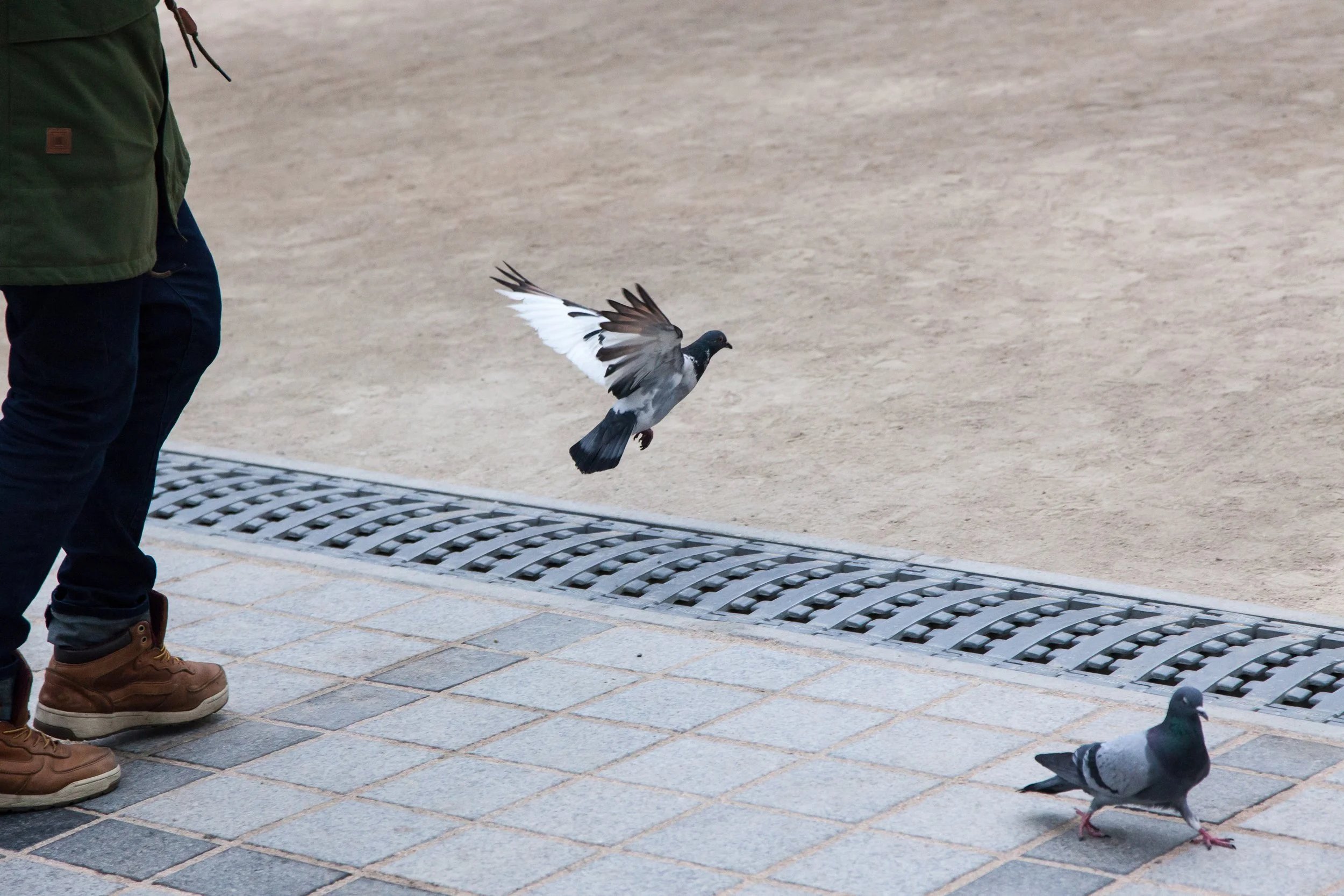 Korea (1 of 1)-8.jpg