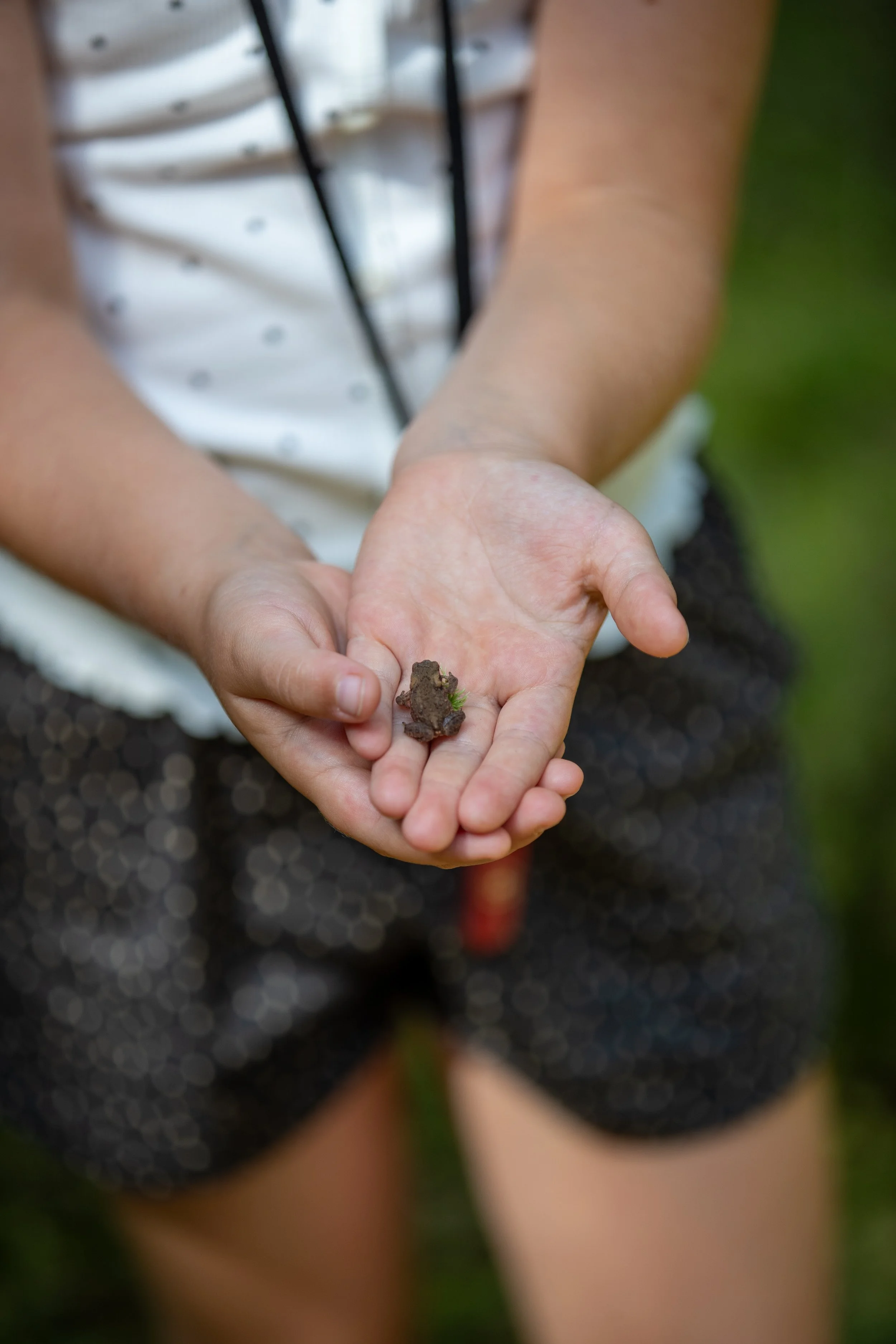 Summer Explorer Camp - Leibnitz, Austria