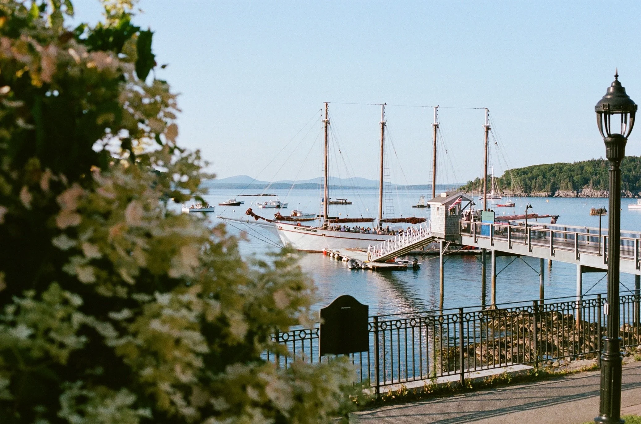 Captured our wedding planning week on film 🥹

So excited to be getting married at the @barharborinnweddings next summer!

We spent the week doing hair &amp; makeup trials, photos, visited our florist, and did a tasting at the inn. 

Bar Harbor is su