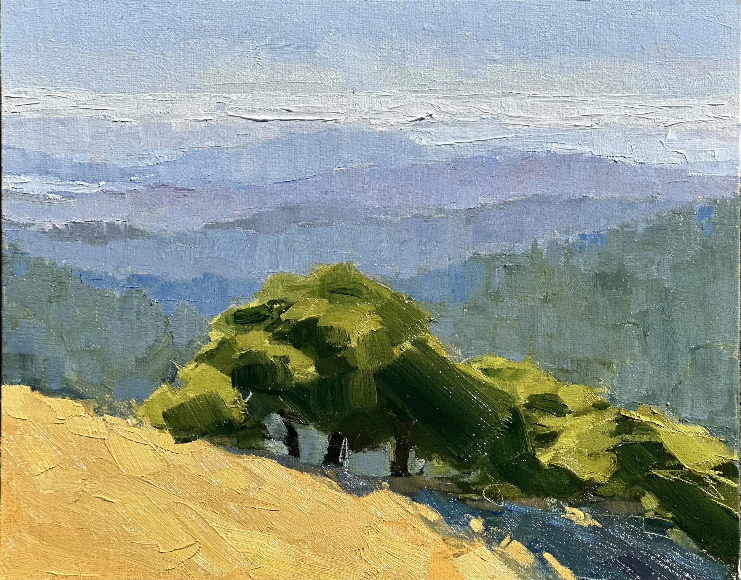 Skyline (2025)
Oil on canvas, 8 x 10 inches