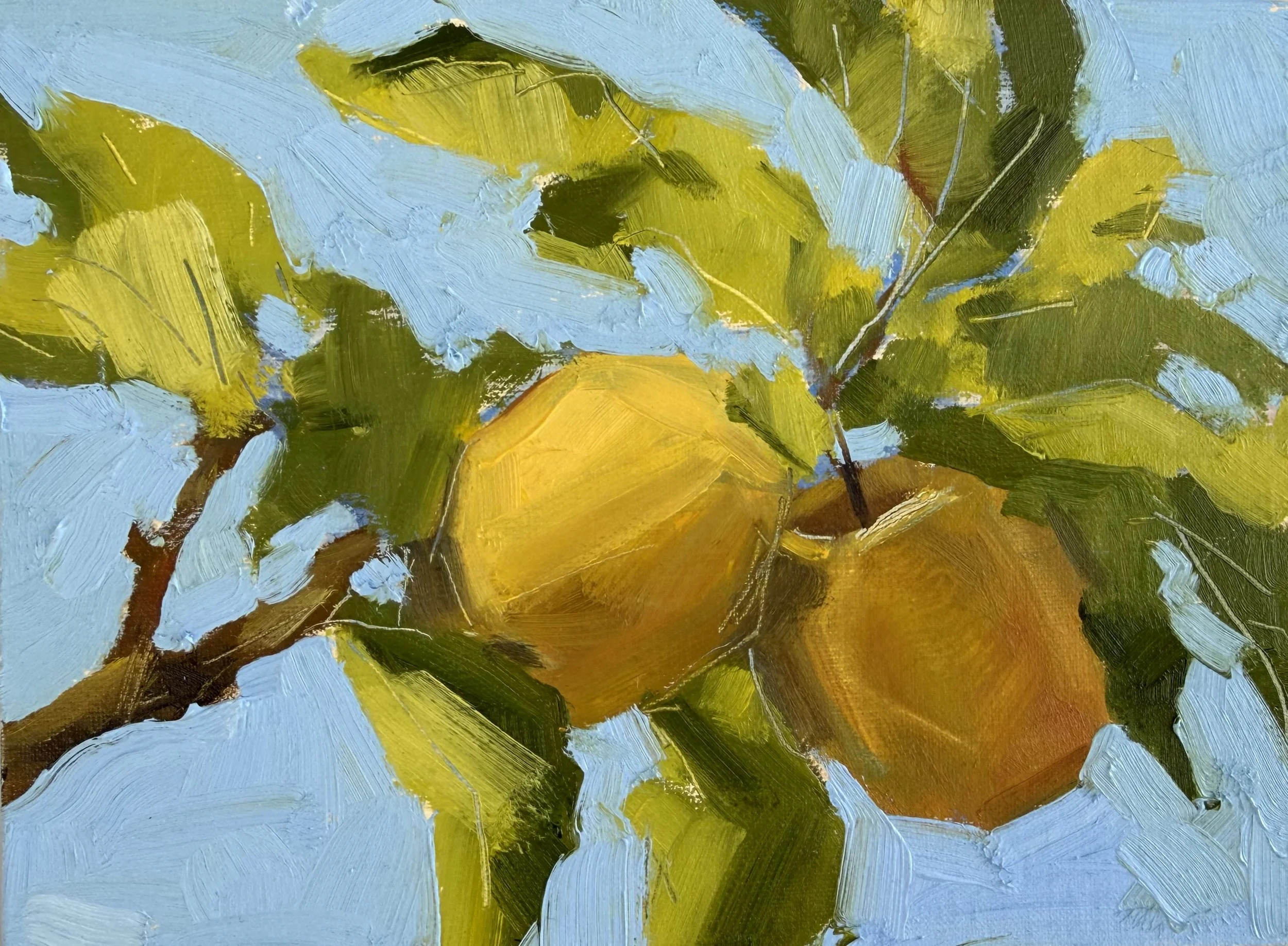Backyard Apples (2026) Oil on canvas, 6 x 8 inches