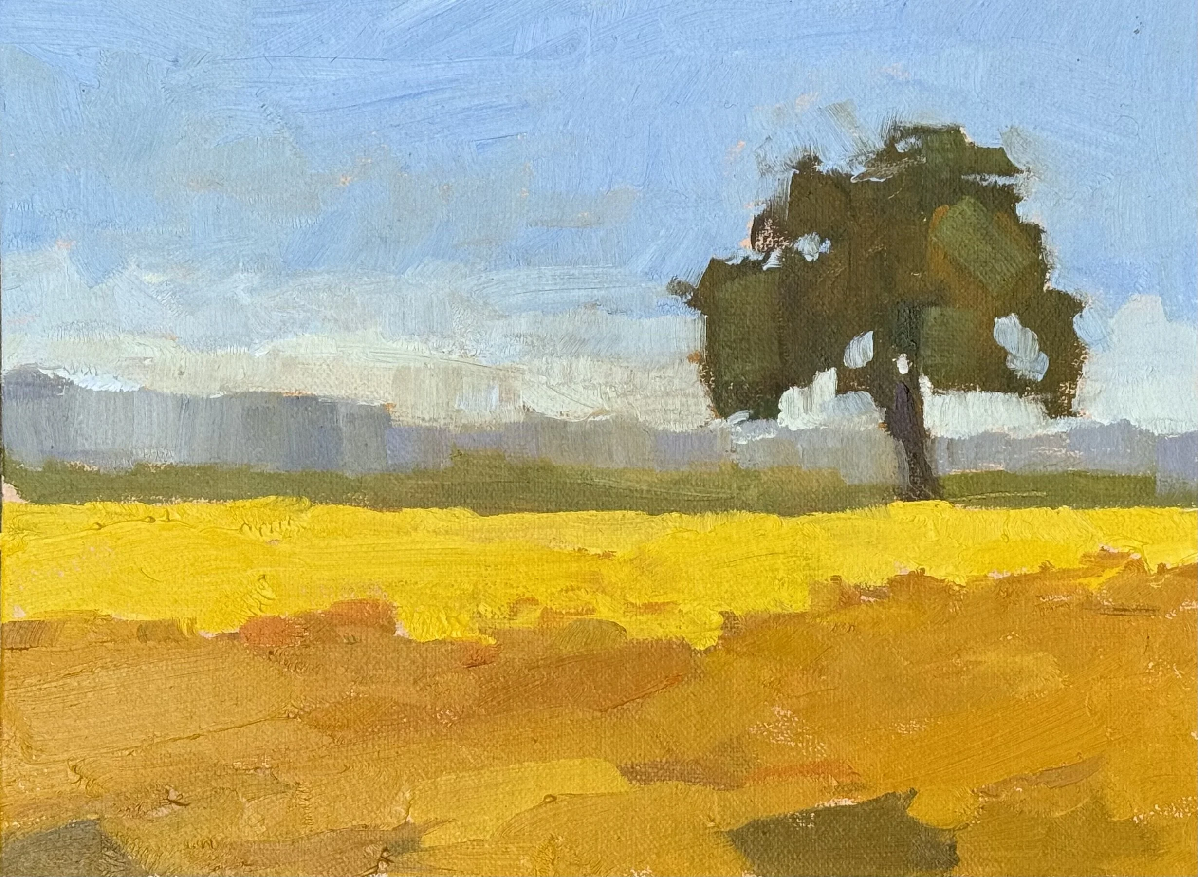 Sunlight (2025) Oil on canvas, 6 x 8 inches