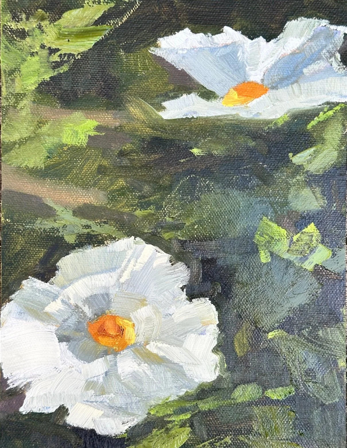 Flower for Breakfast (2025) Oil on canvas, 6 x 8 inches