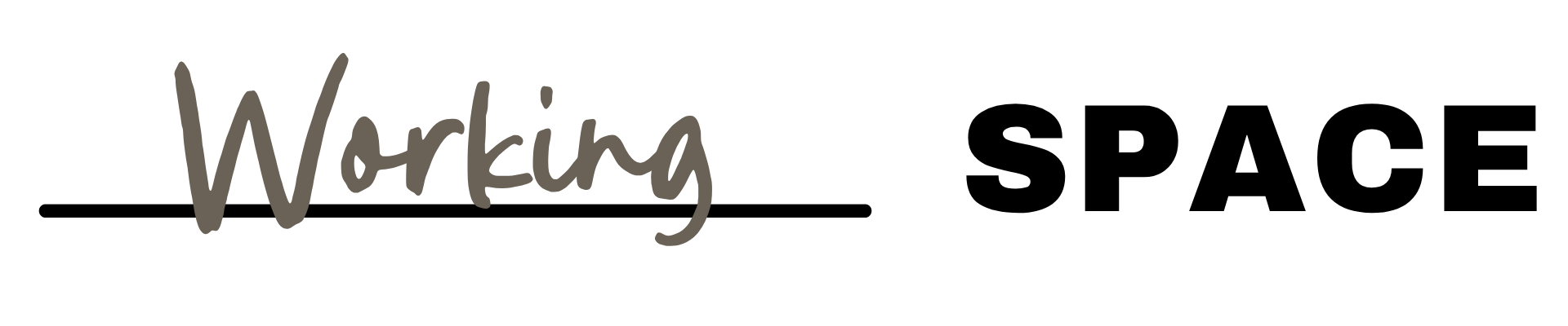 Blank Space Asheville Meeting Venue. Text saying 'Working' in gray script font with an underline, next to 'SPACE' in bold black capital letters.