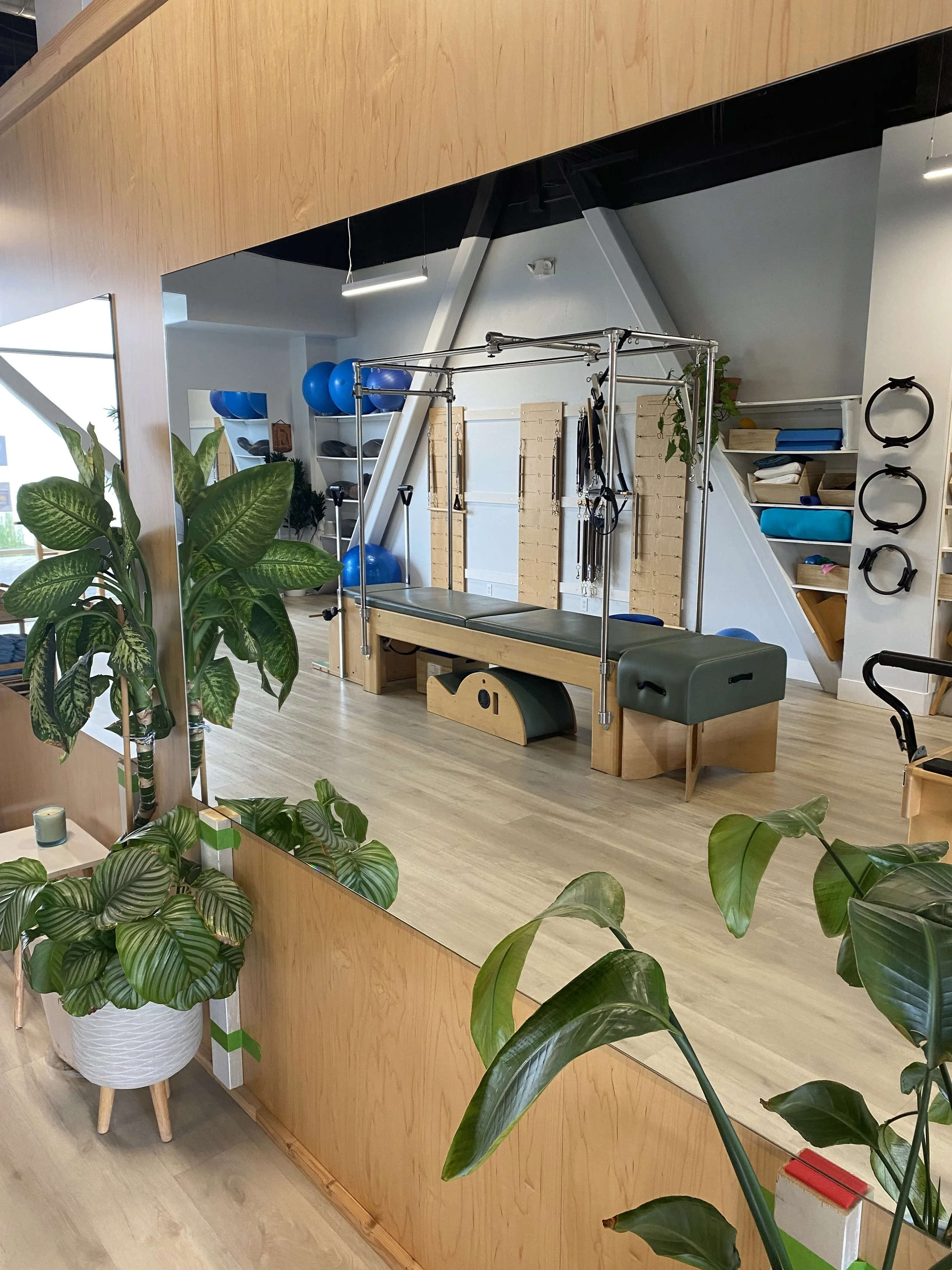 Pilates and  physical therapy in a fully equipped Pilates studio