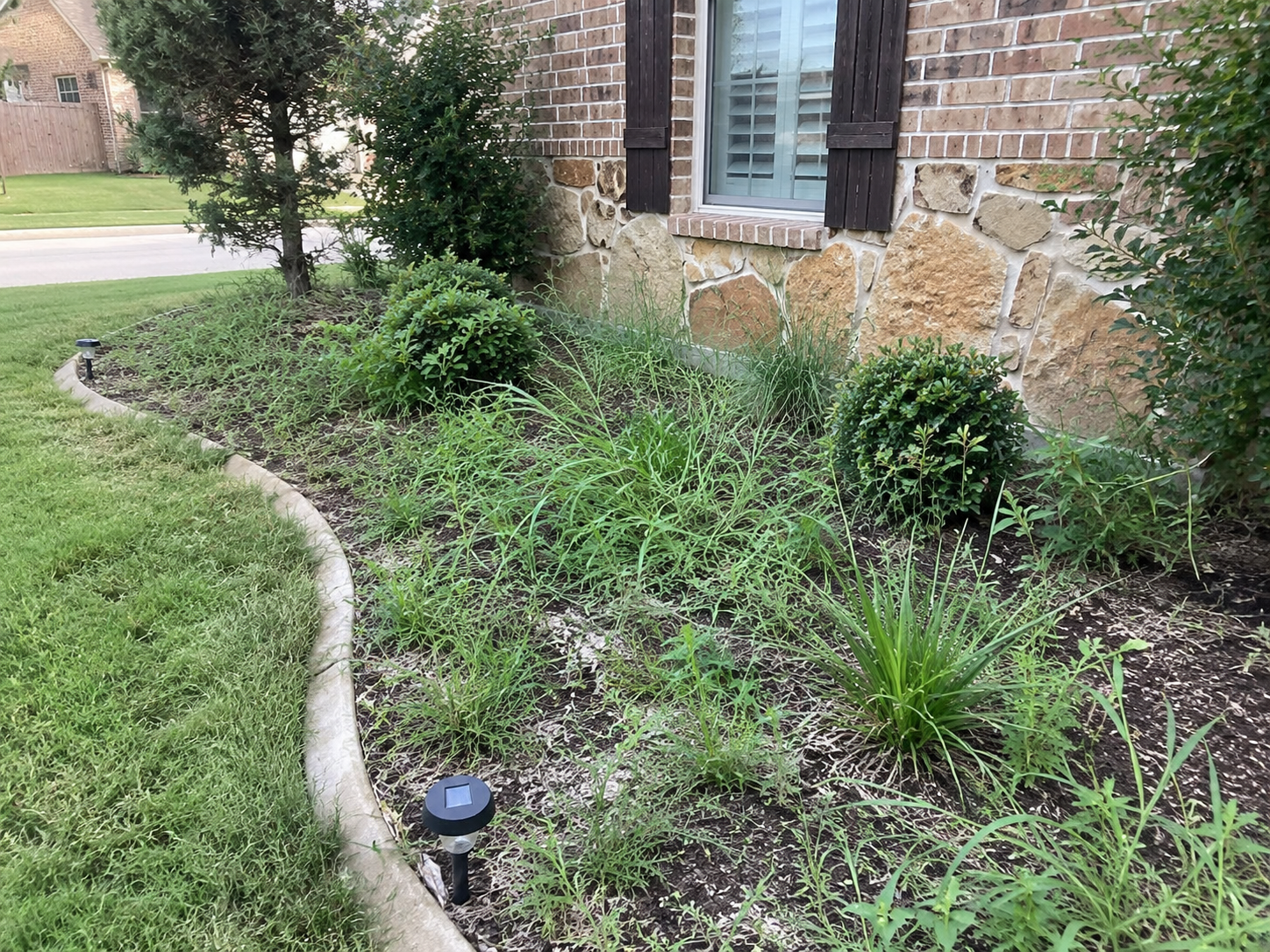 How to Keep Weeds Out of Flower Beds (Without Constantly Fighting Them)