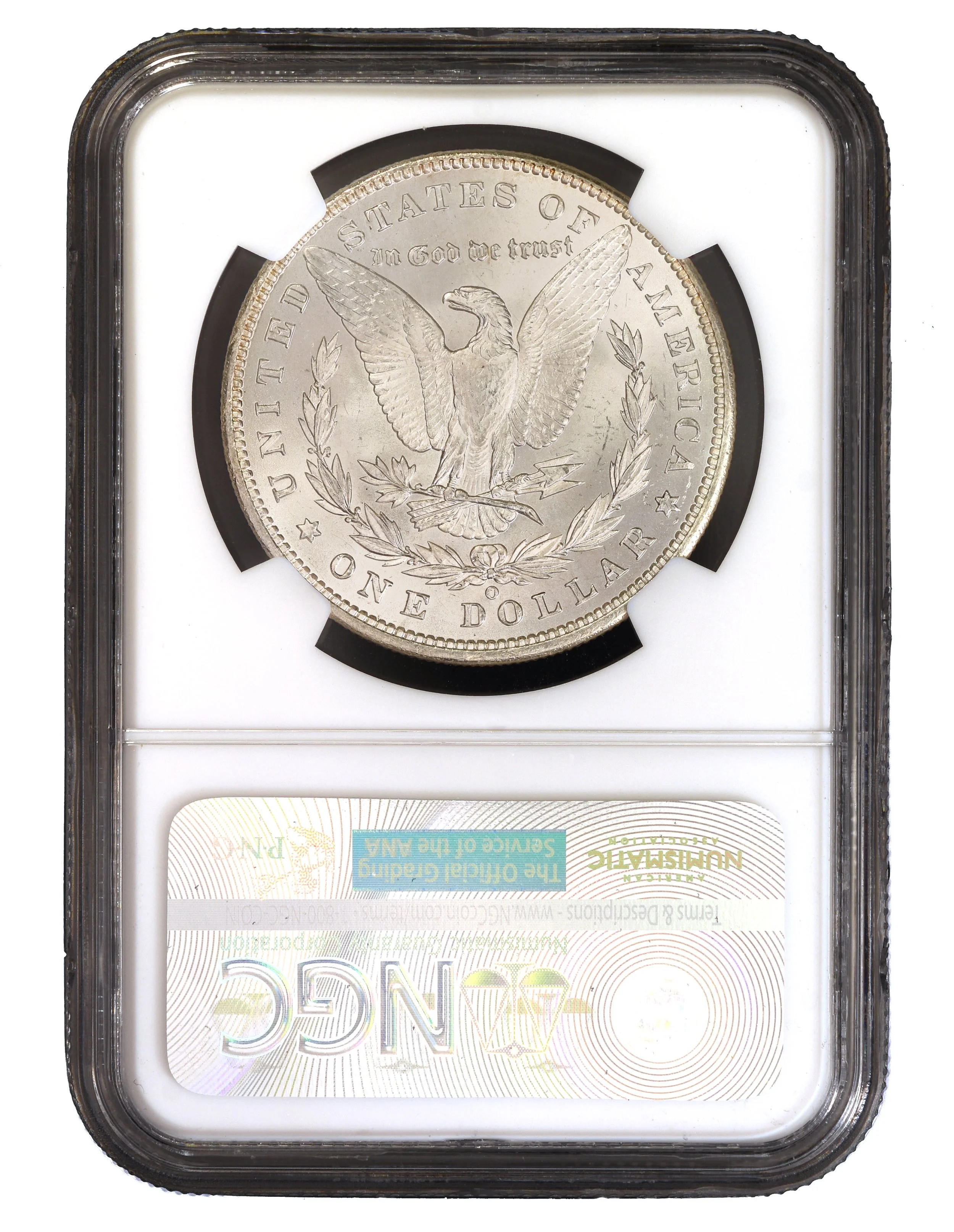 1$_1898oNGCMS66_449527-008_R.jpg