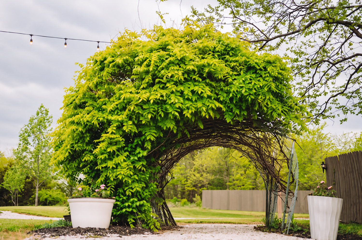 Garden arch at A Secret Place in Jamestown Missouri