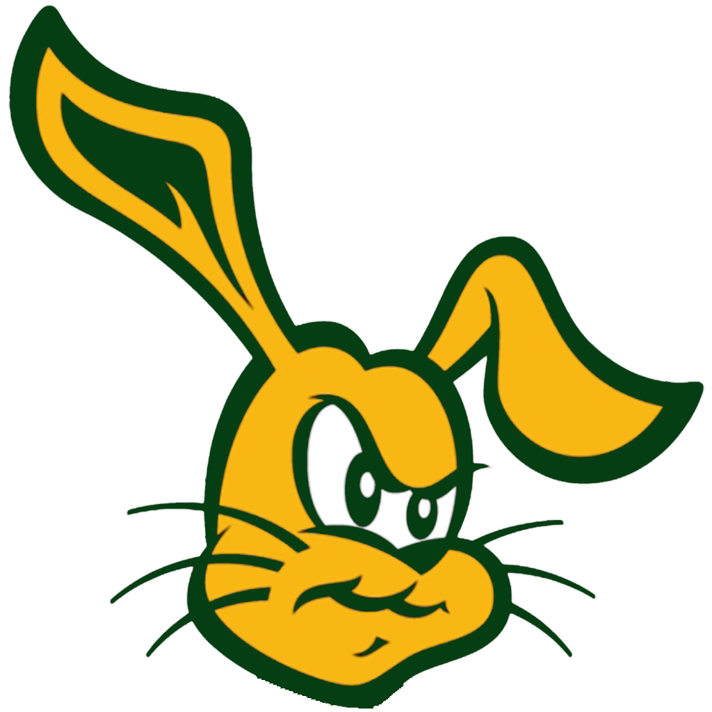 LB Poly - Copy.png