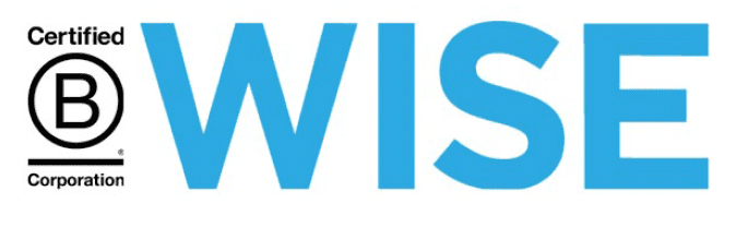 What I Learned in the WISE Social Impact Consulting Fellowship