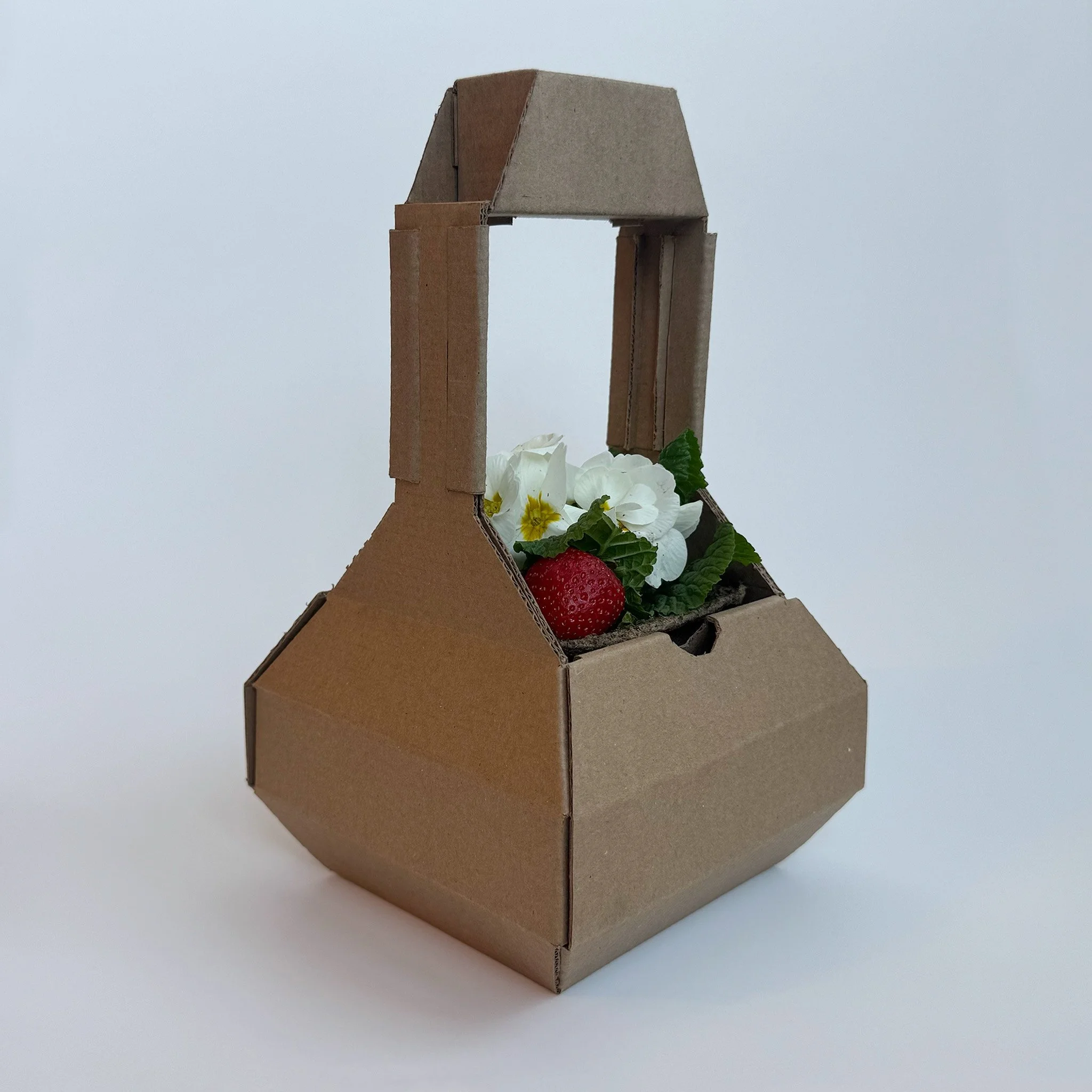 Strawberry Basket Carrier