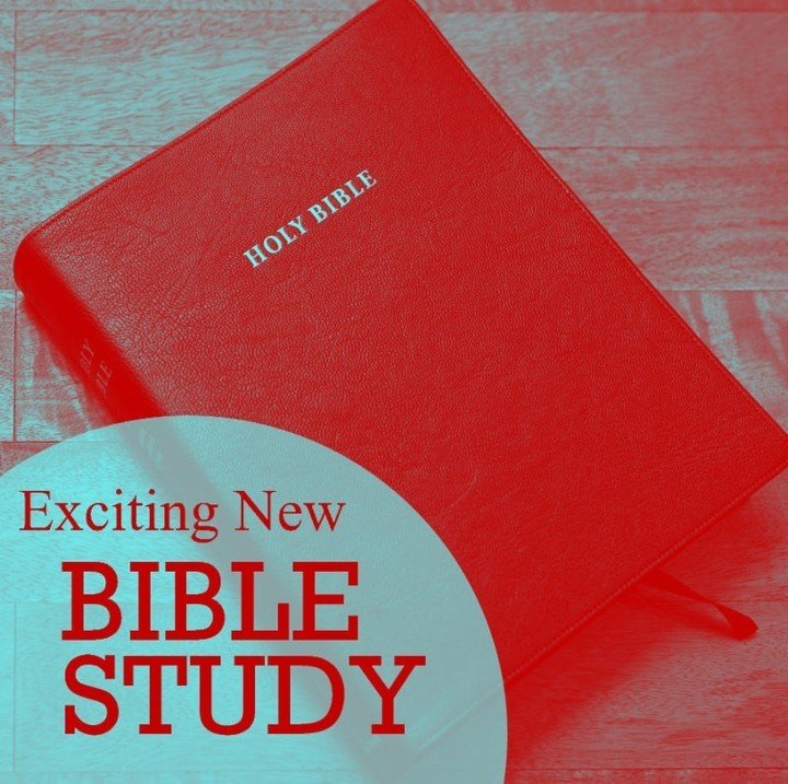 New Bible Study!
"Keeping the Magi Out of the Manger"
In this two-week Bible Study for Advent "Keeping the Magi Out of the Manger," we will explore the Christmas stories found in the Gospels of Luke and Matthew and how they are ea
