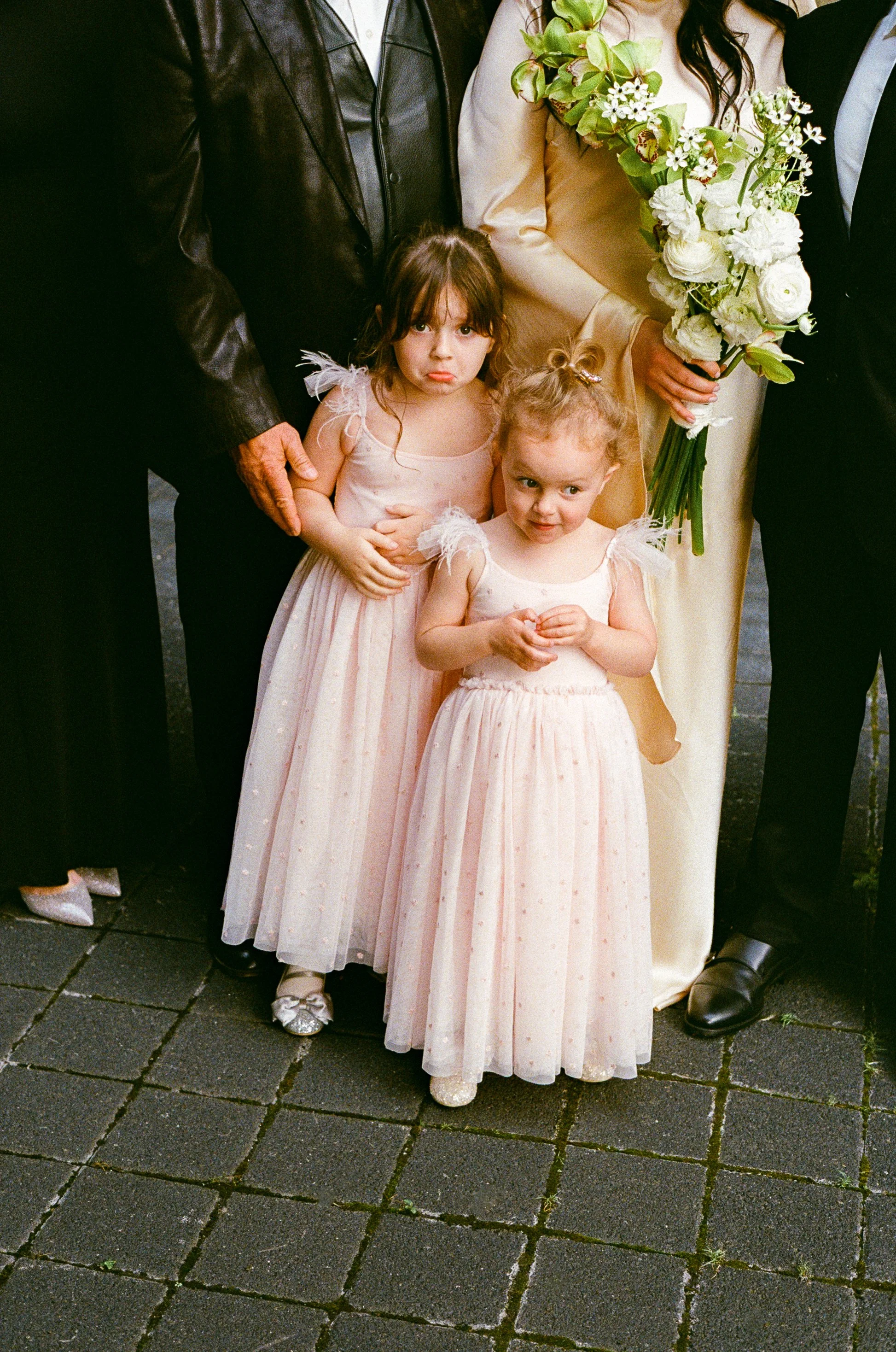 Two young girls in pink dresses standing outdoors, surrounded by famlily during family portraits.