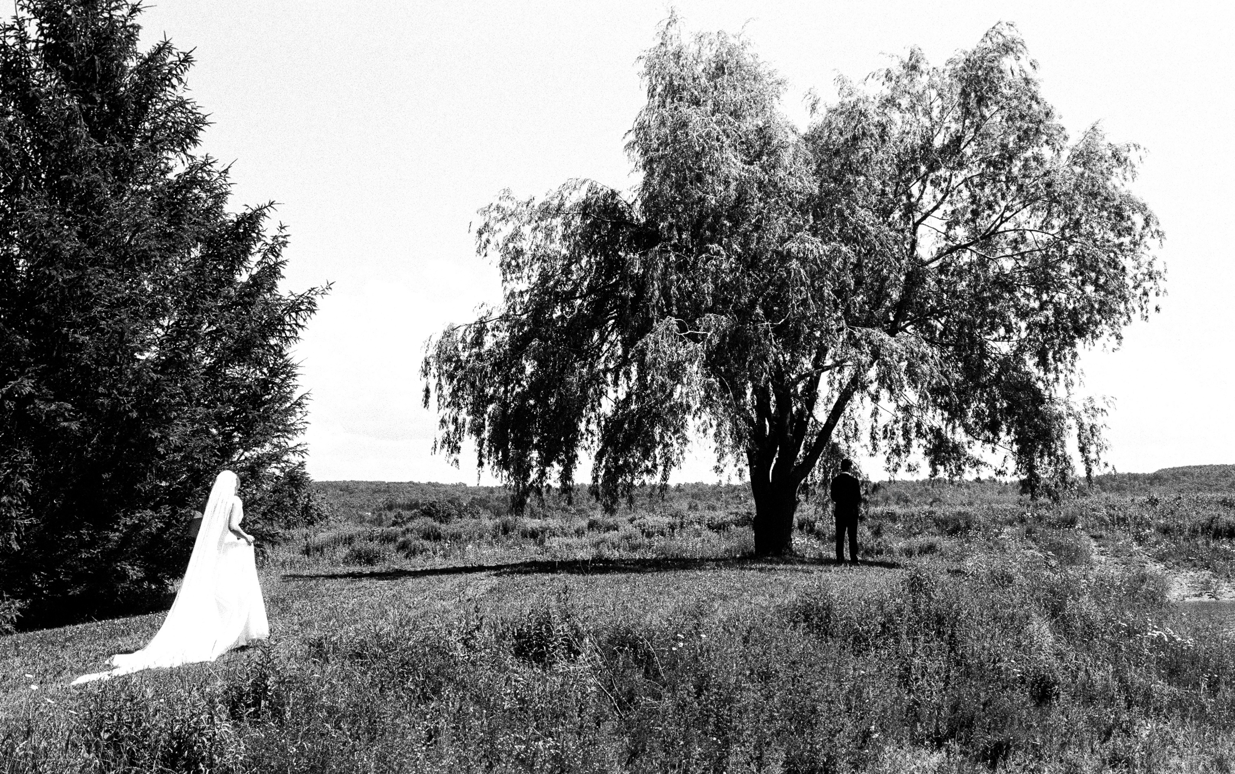 photos website (2).png