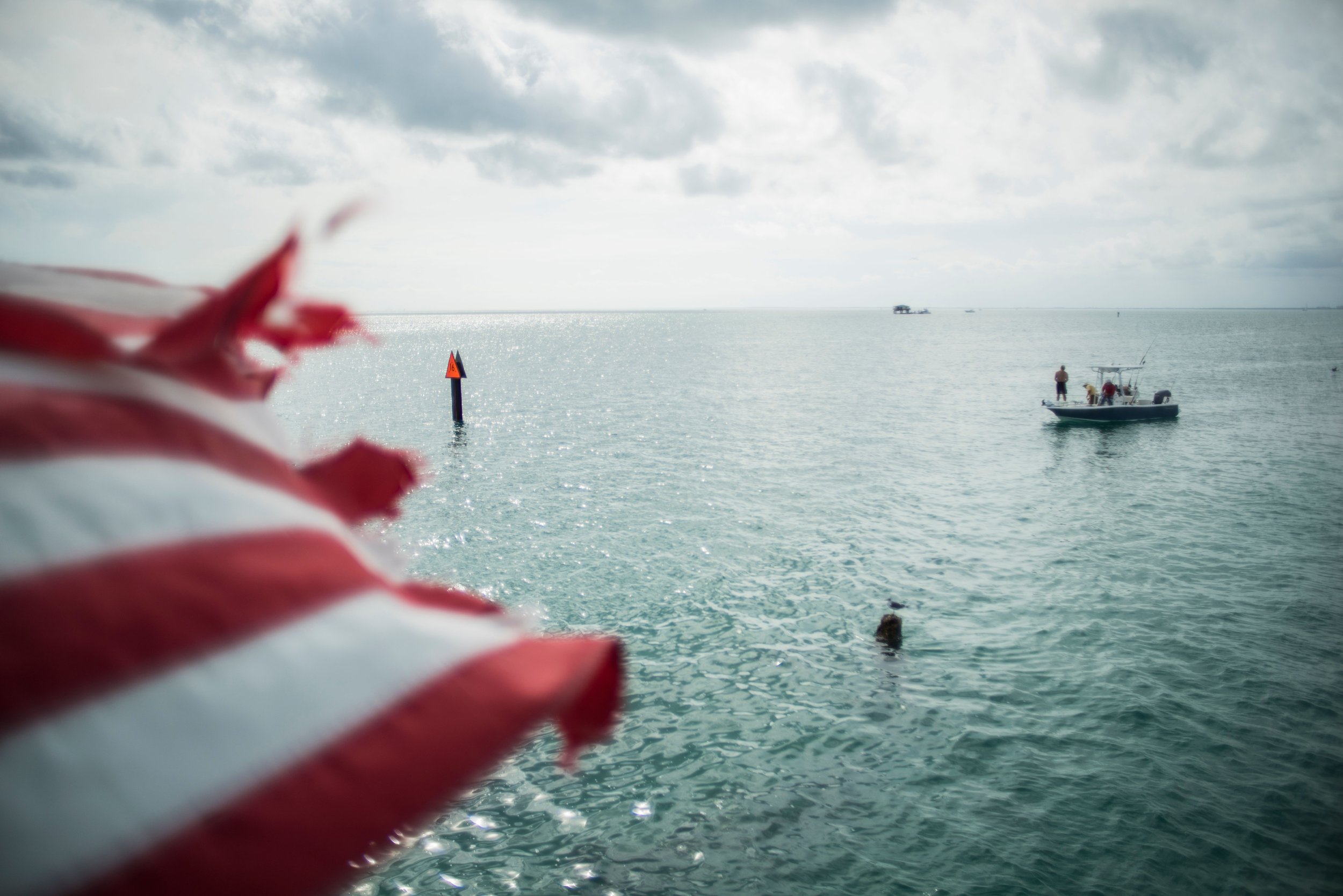 miami (1).jpeg