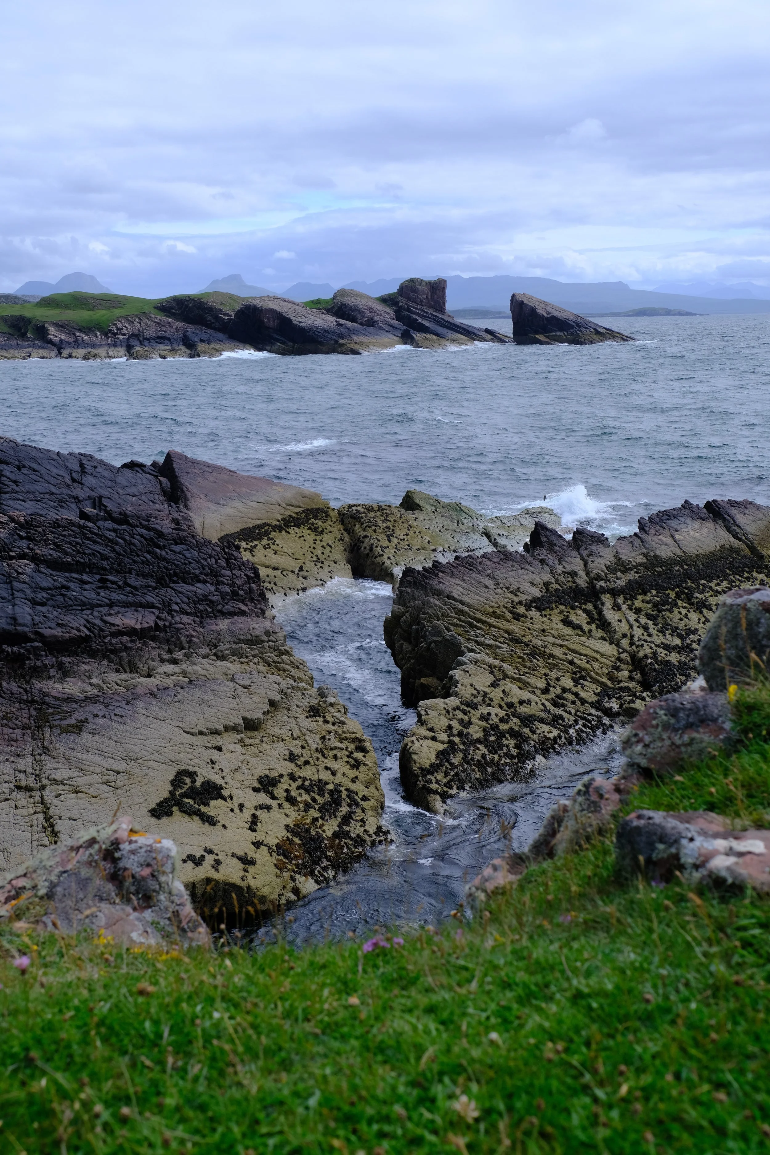 DSCF1590.JPG