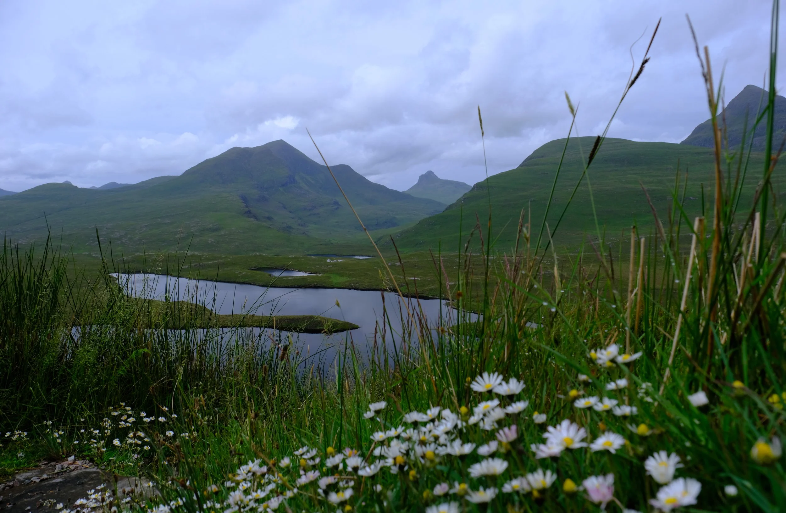 DSCF1792_2.jpg
