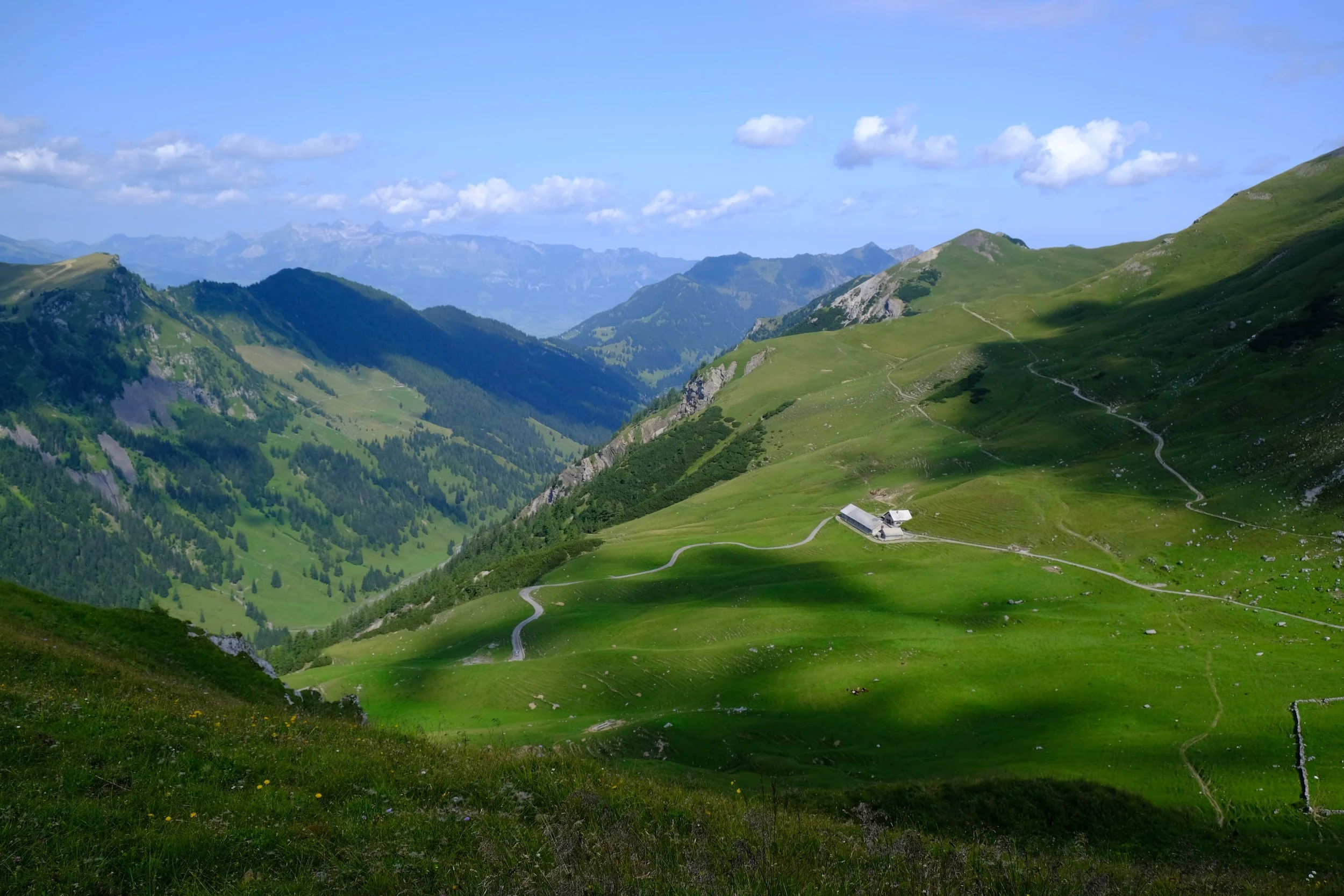 DSCF6986.JPG