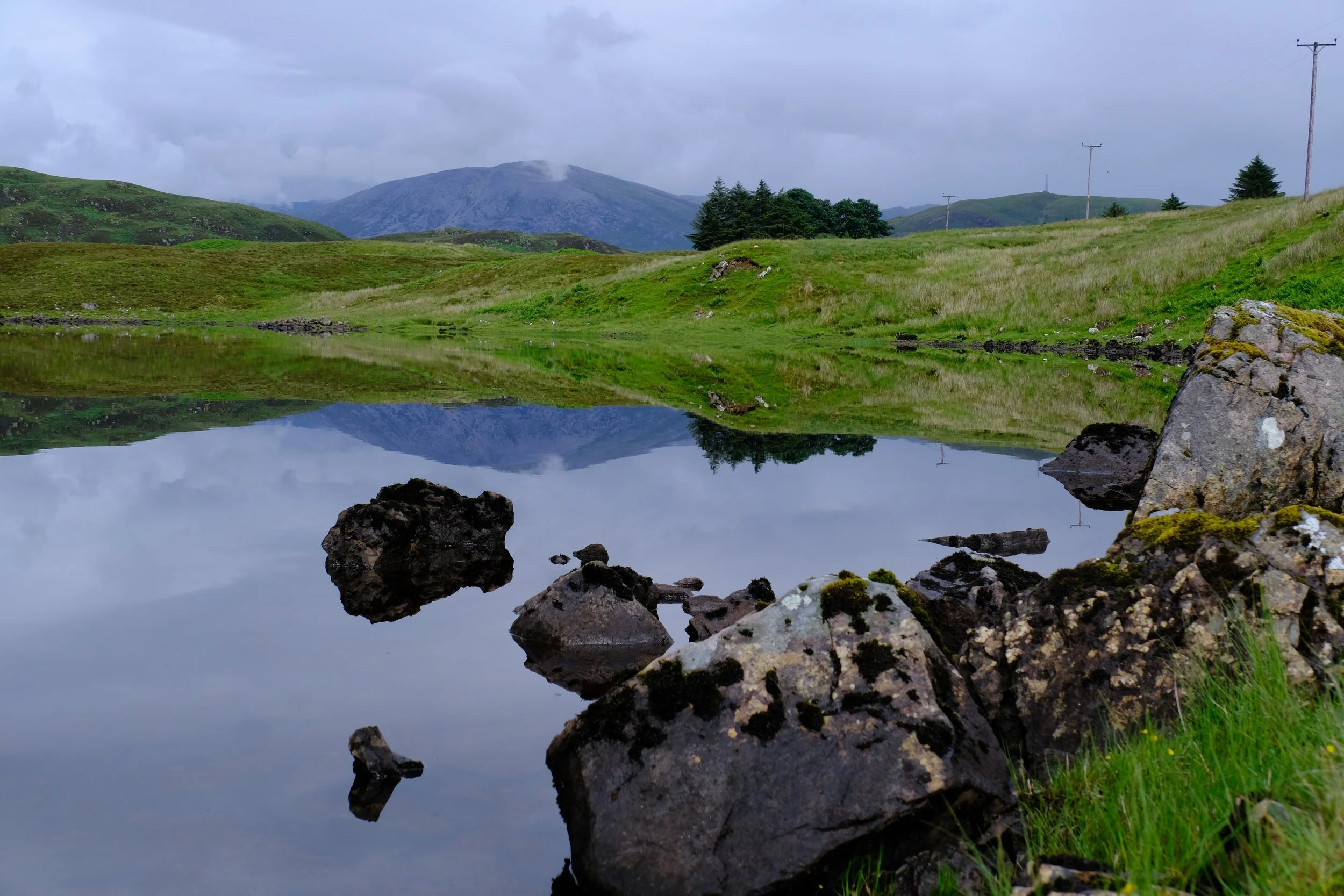 DSCF2130.JPG