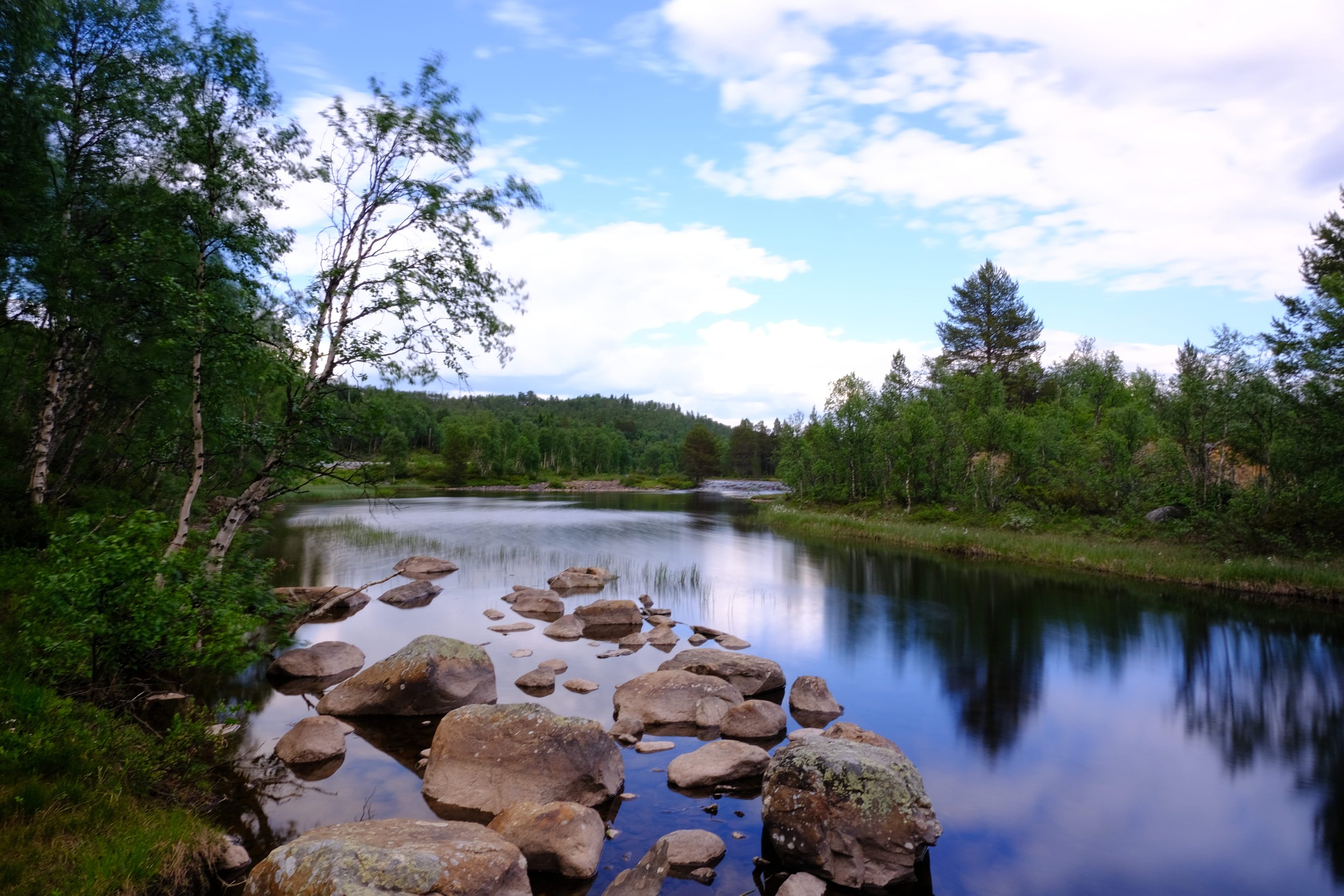 Ein Fluss in einem bewaldeten Gebiet mit Steinen im Wasser, grüne Bäume und ein blauer Himmel mit einigen Wolken.
