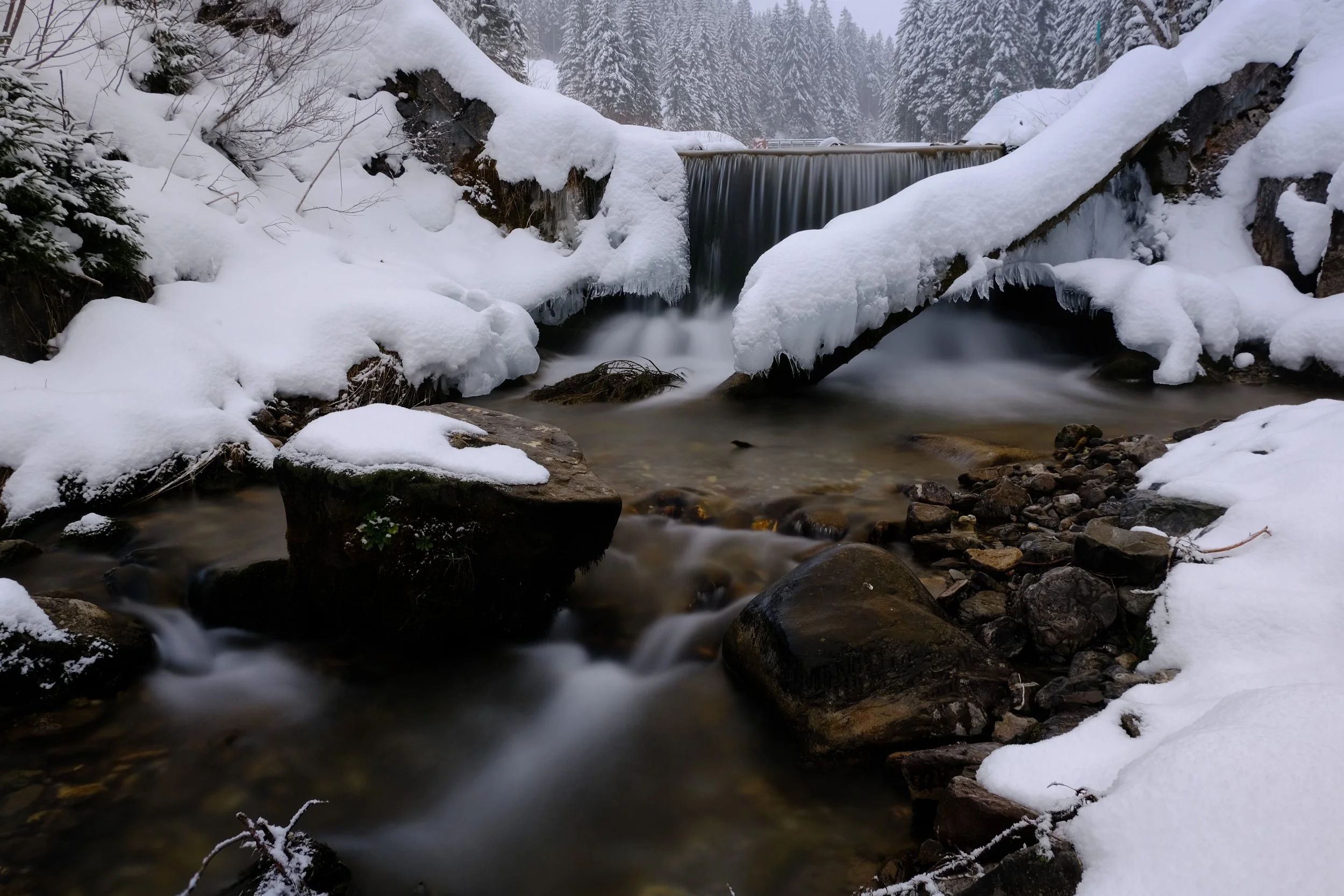 DSCF9897.JPG
