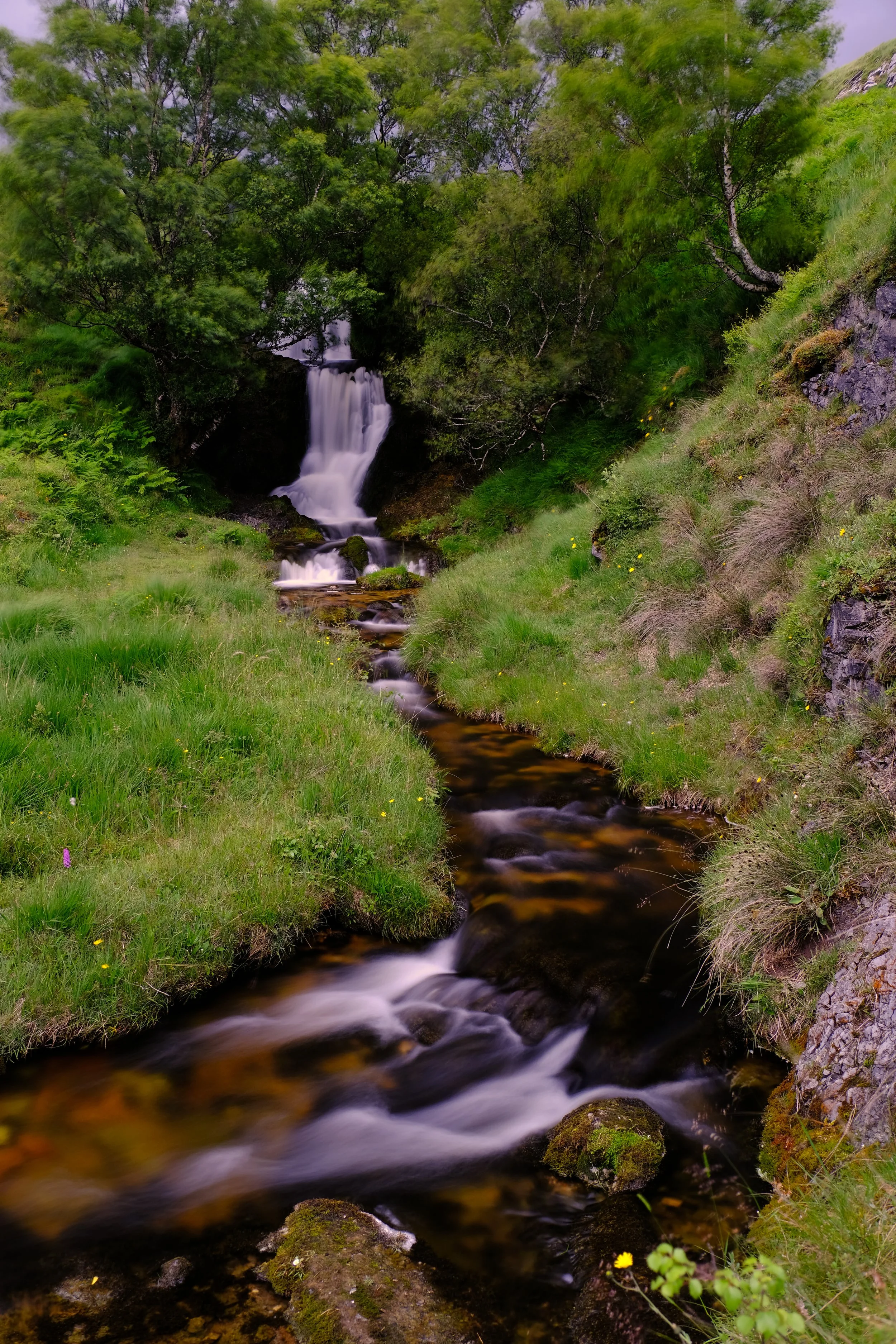 DSCF3714_1.jpg