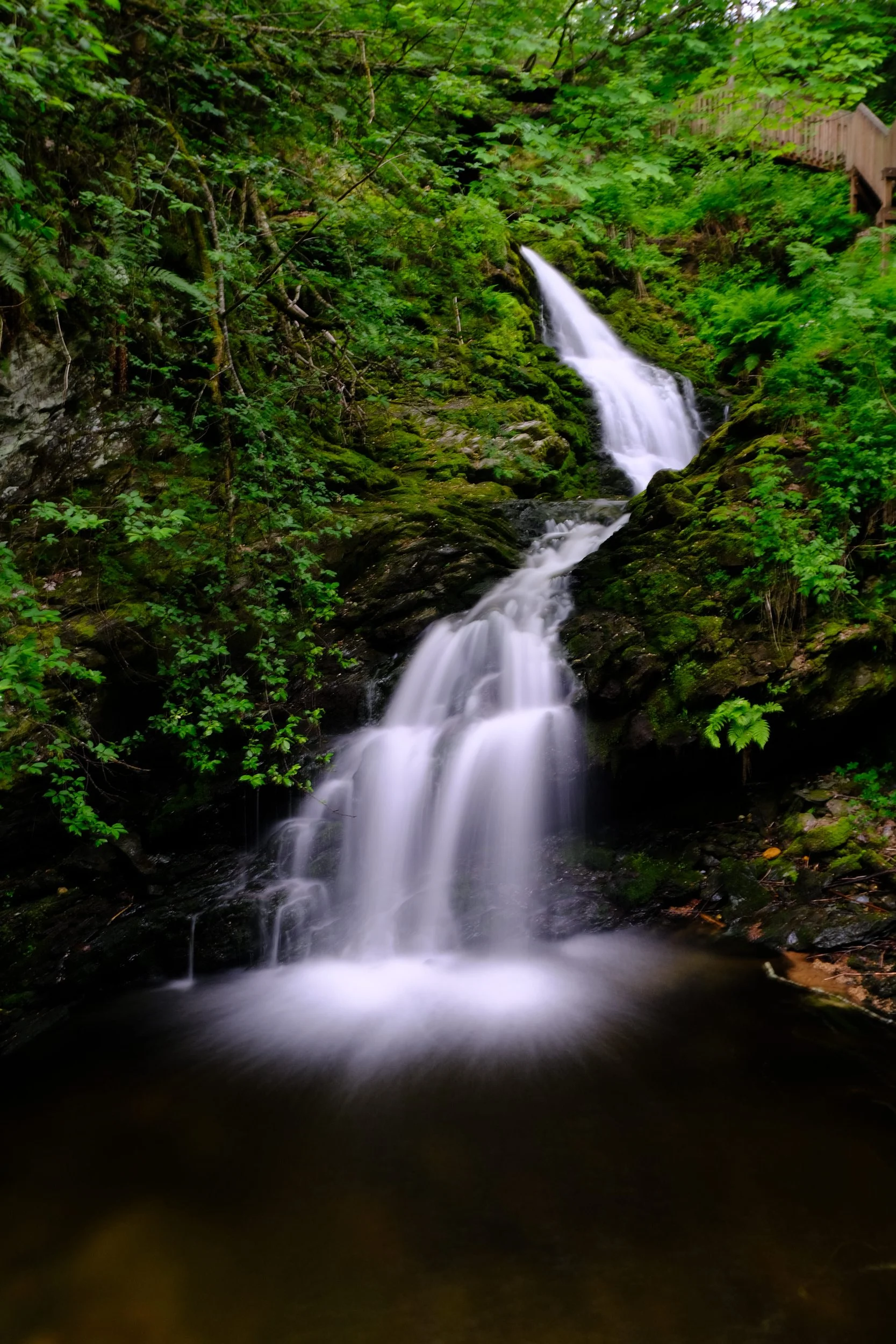 Ein kleiner Wasserfall inmitten eines grünen Waldes, mit Moos bedeckten Steinen und üppiger Vegetation.