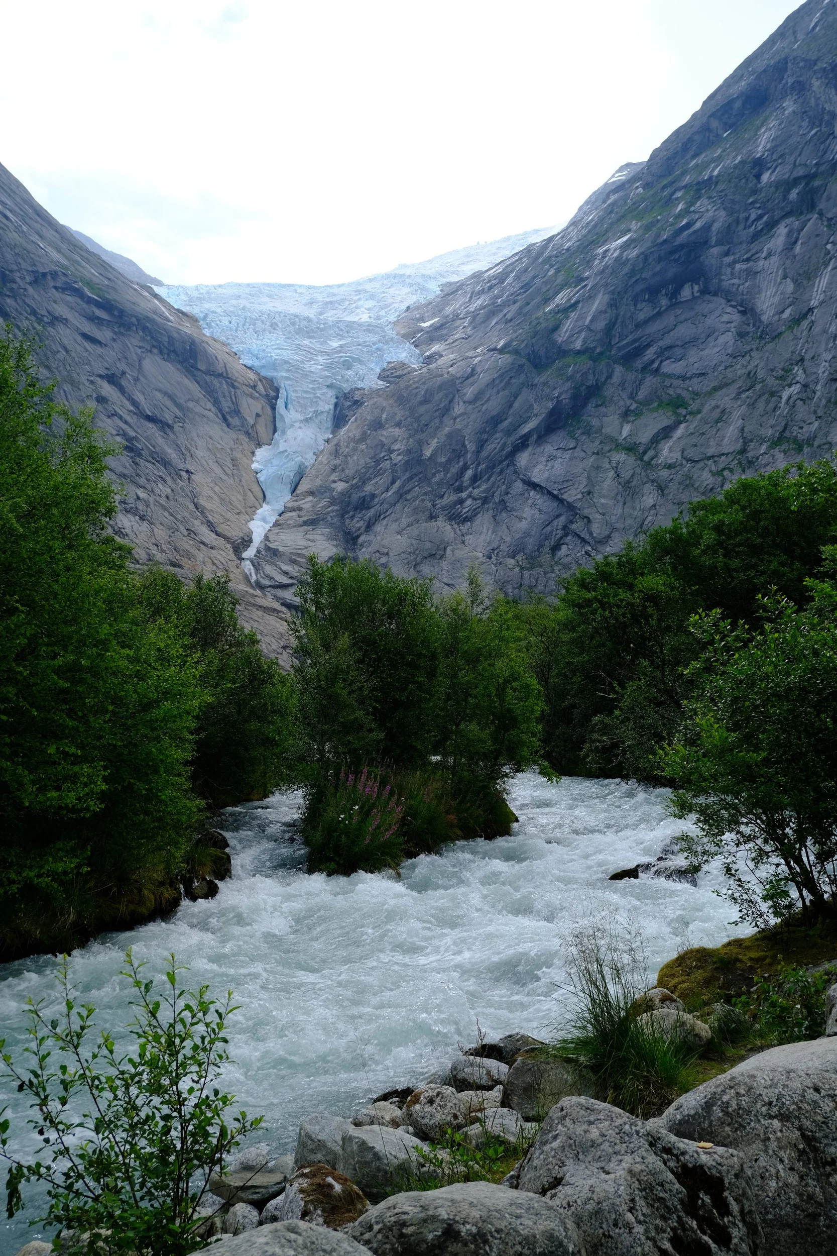 Ein Blick auf einen Fluss, der durch eine grüne Landschaft fließt, mit Bäumen und Felsen im Vordergrund, und einem Gletscher in den Bergen im Hintergrund.