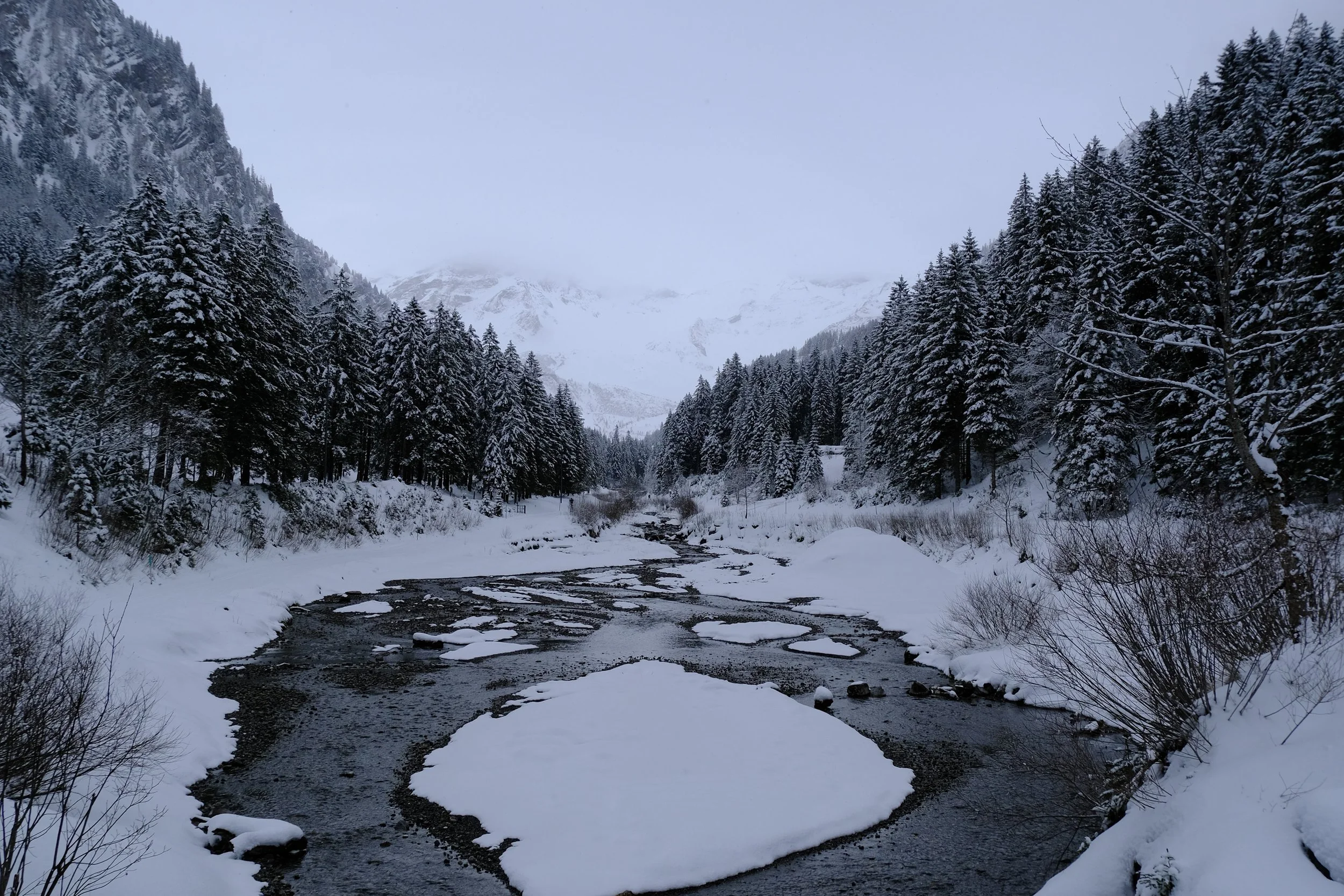 DSCF9816.JPG