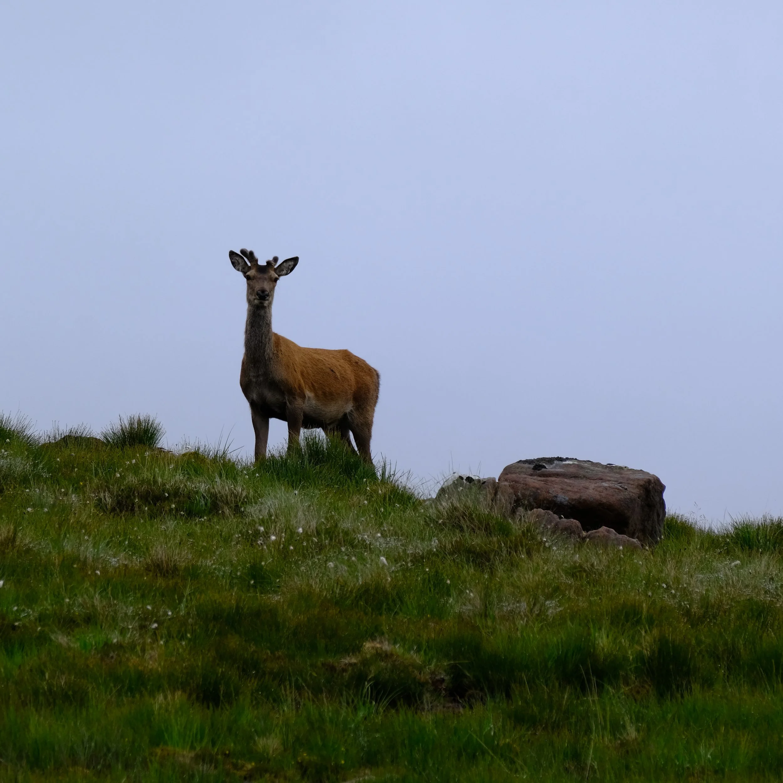 DSCF2224_2.jpg