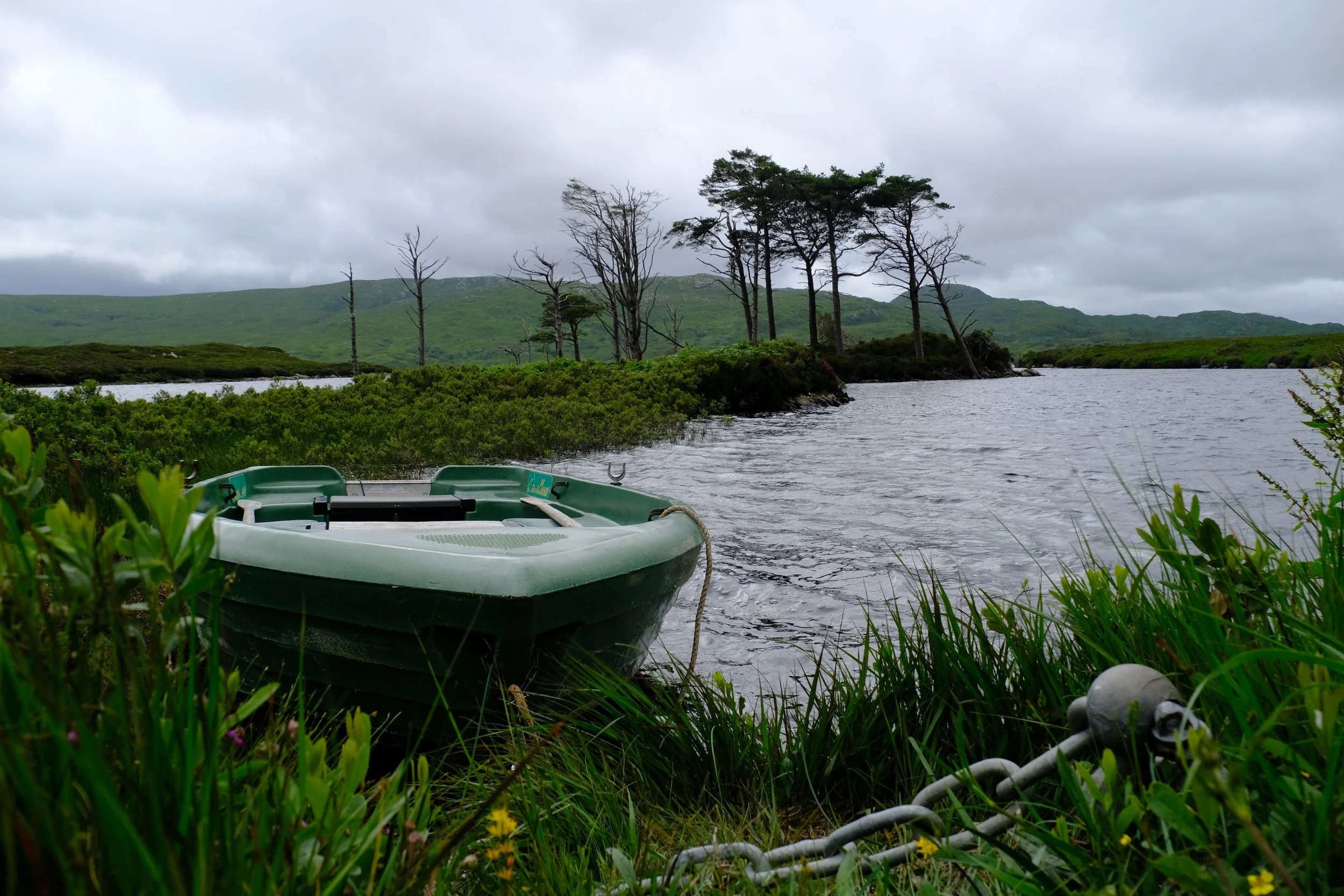 DSCF3786.JPG