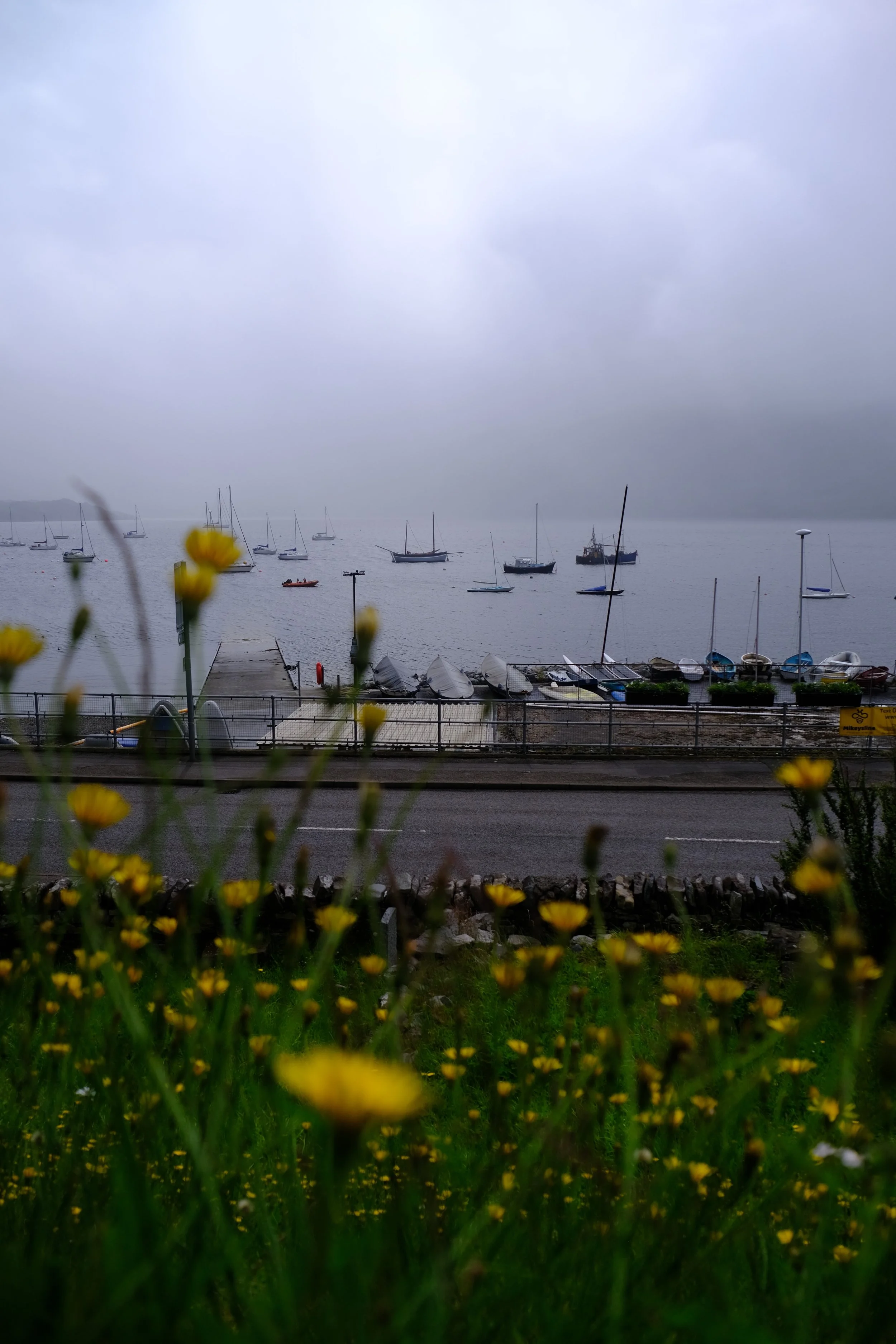 DSCF3885.JPG