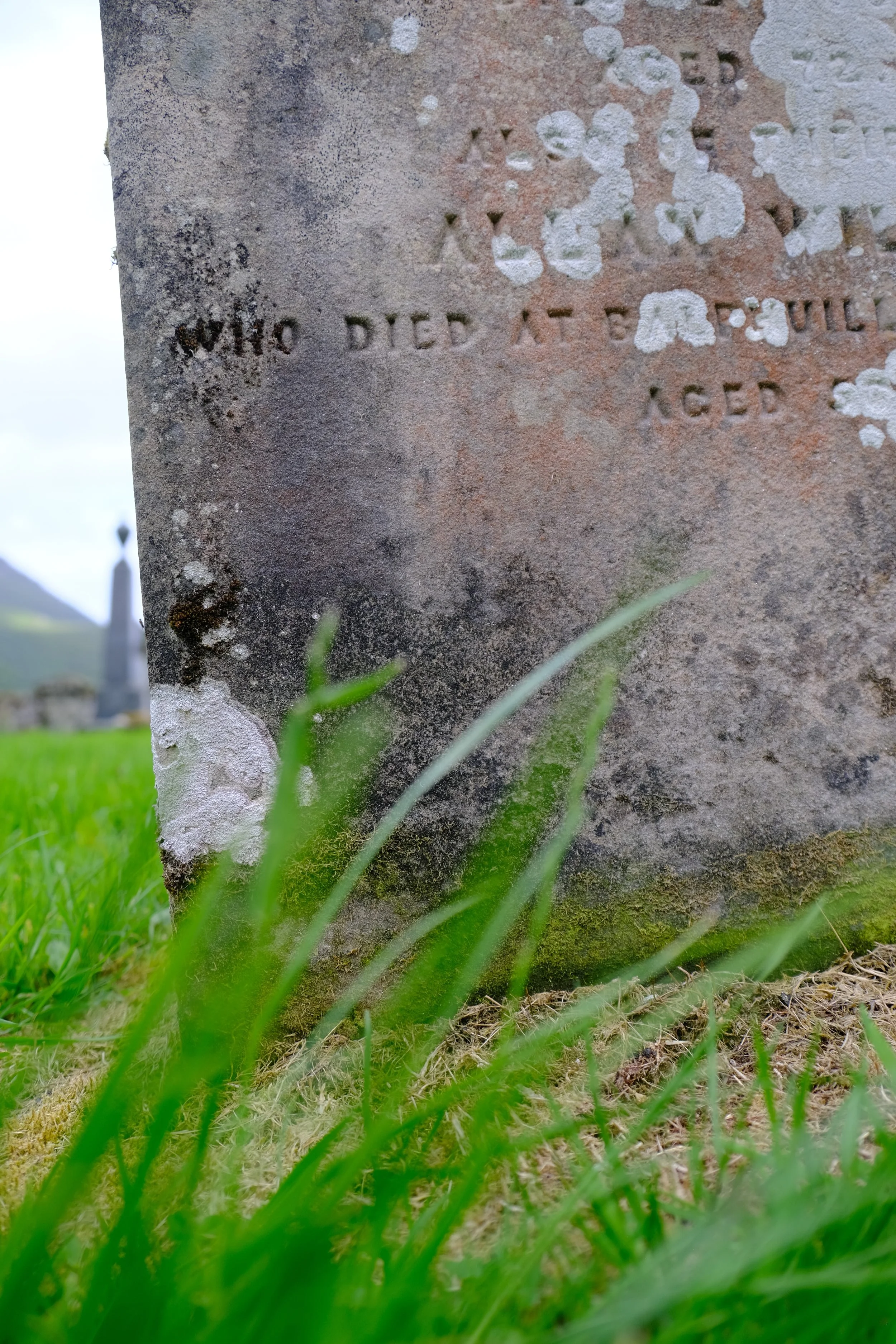 DSCF3487.JPG