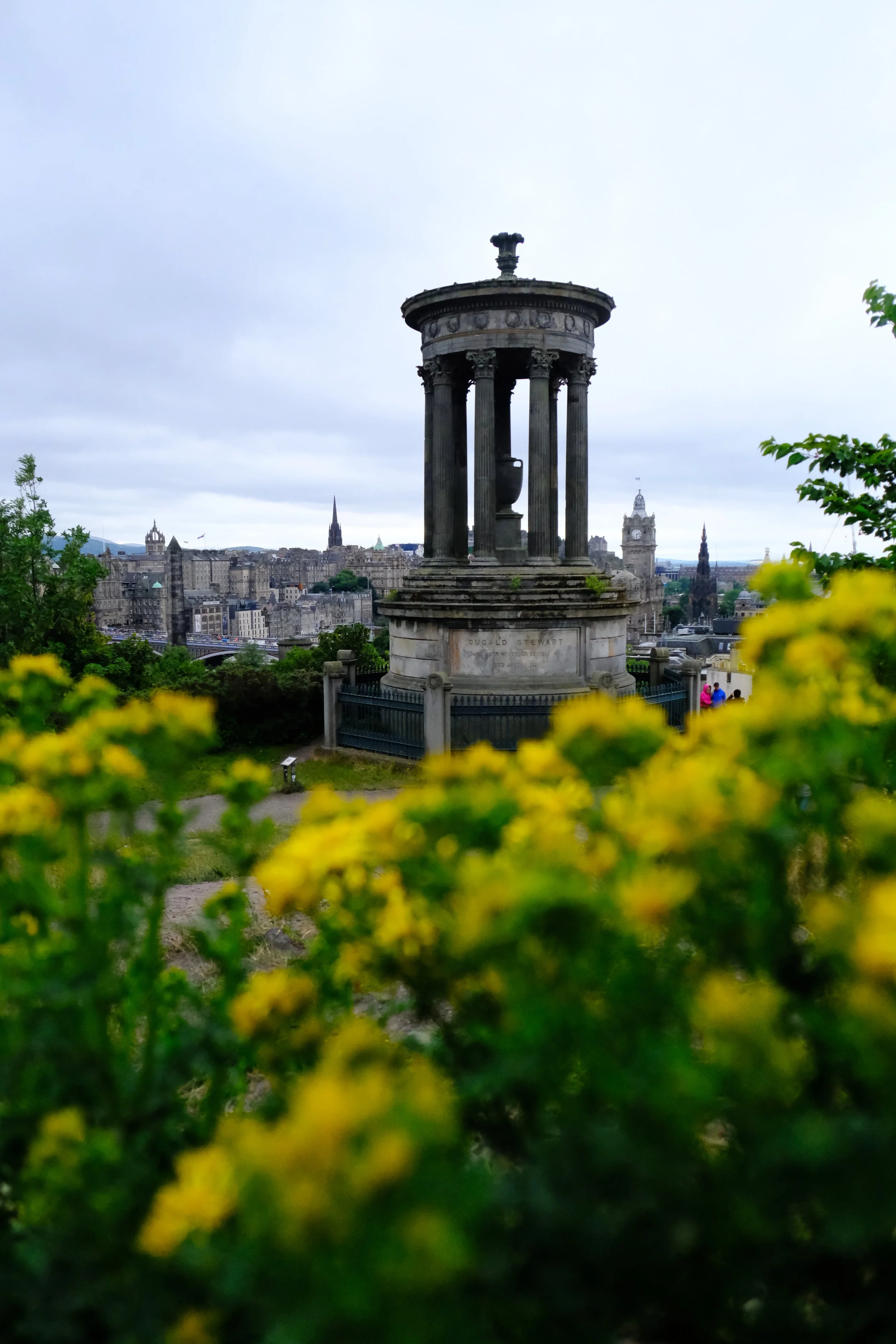 DSCF4206_1.jpg