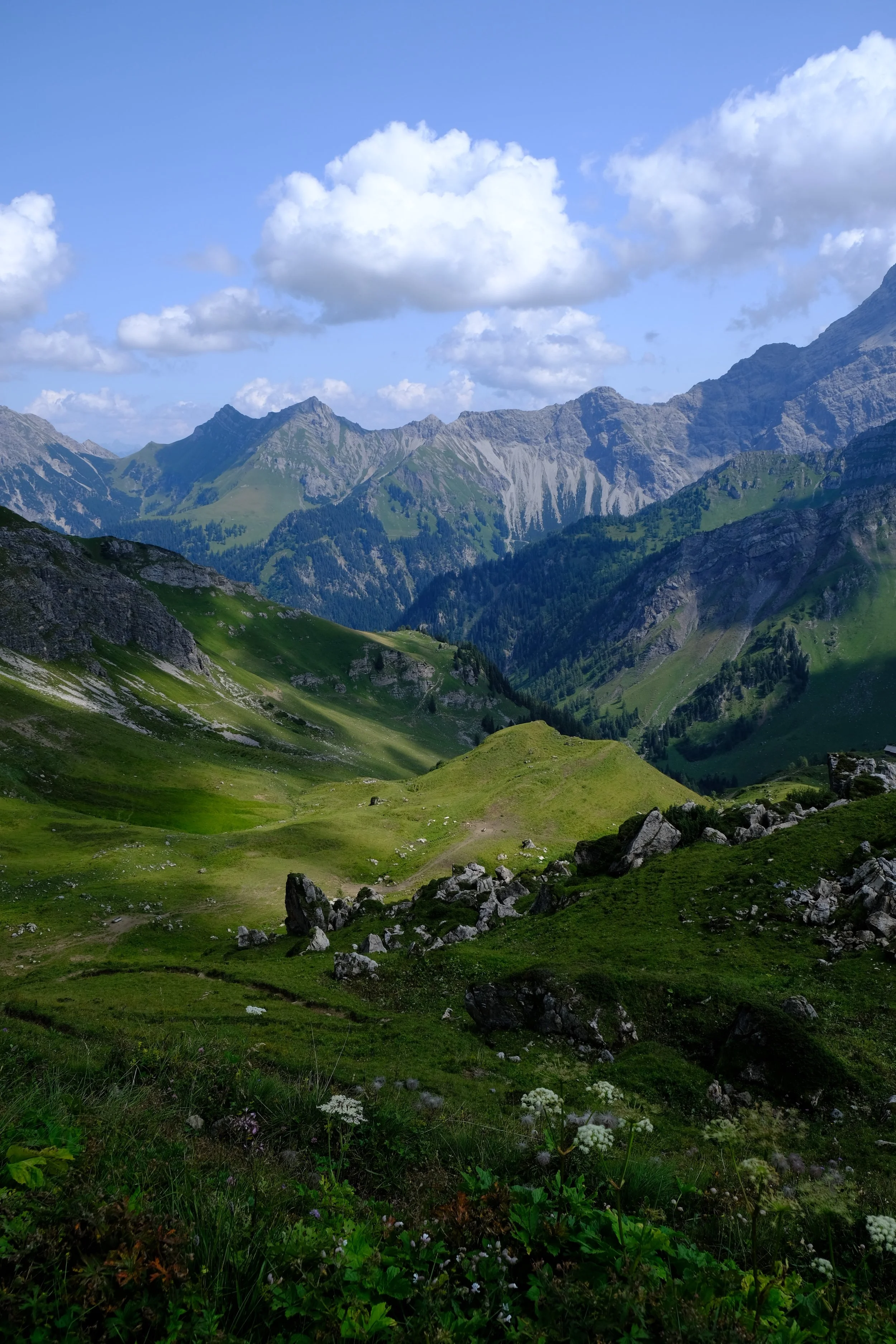 DSCF7156.JPG