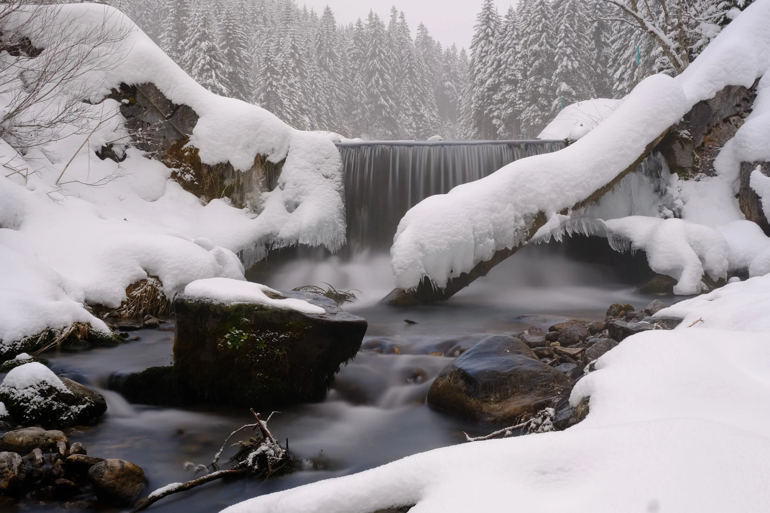 DSCF9879.JPG