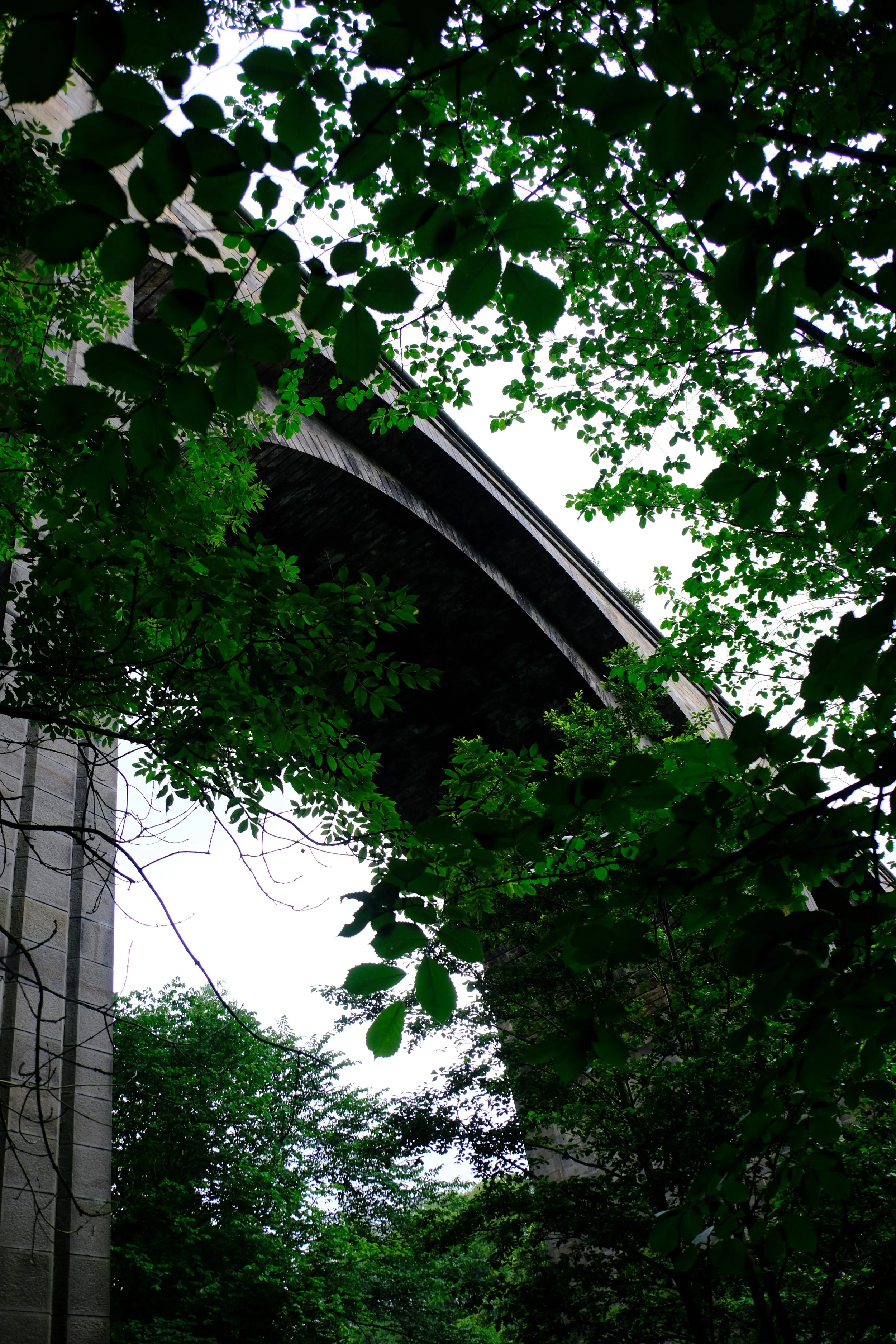 DSCF4235_1.jpg