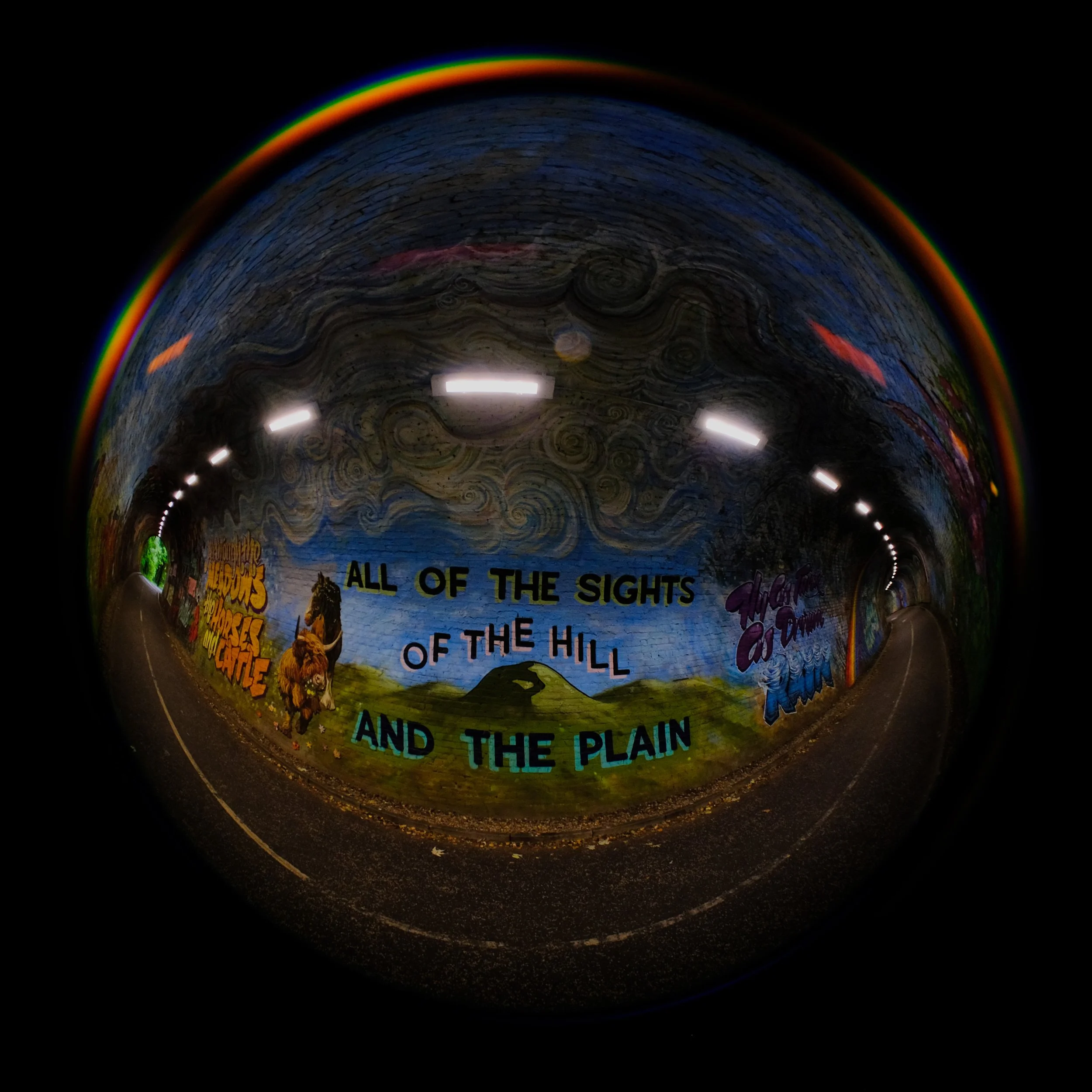 DSCF4266_1.jpg