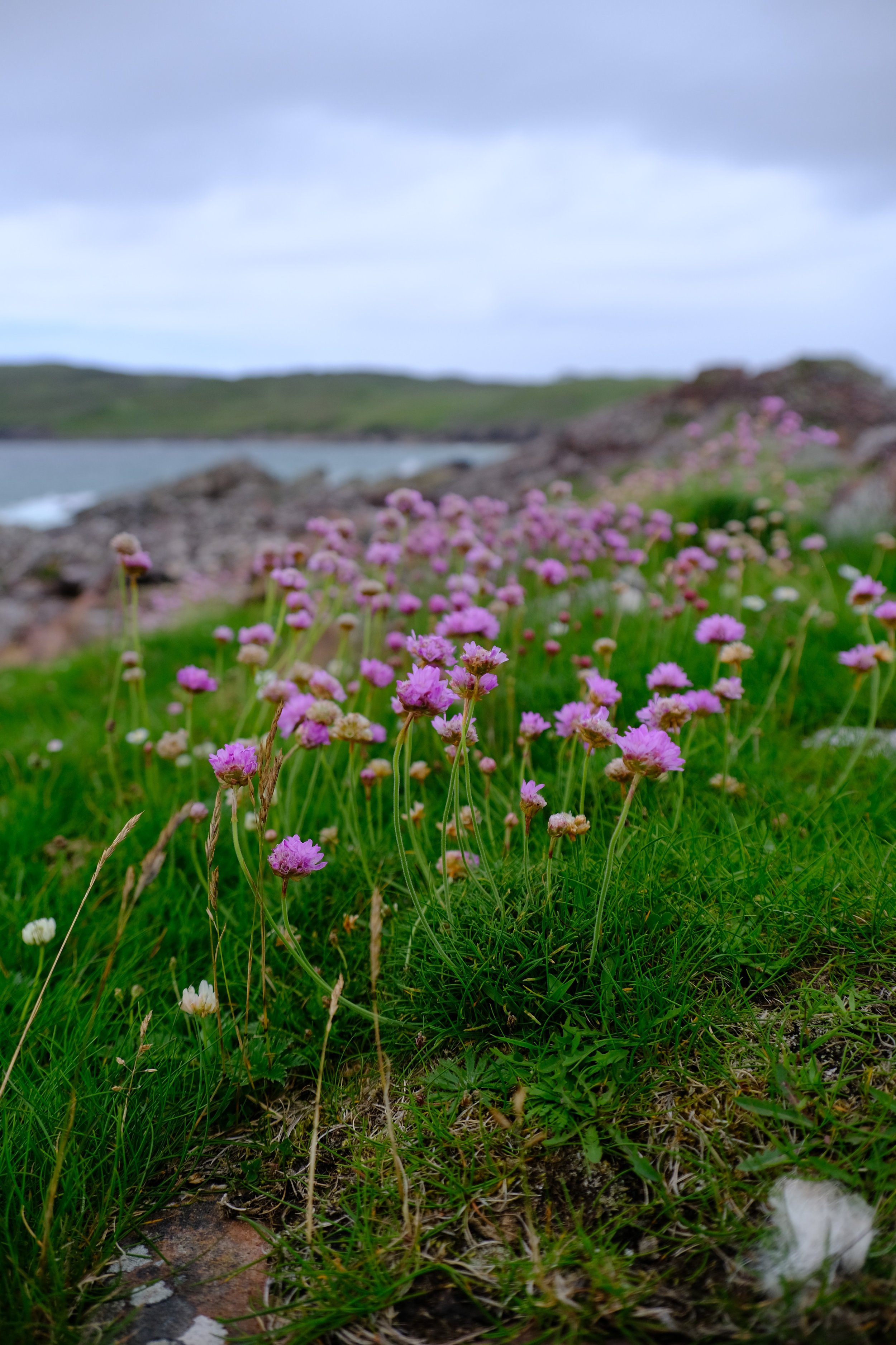 DSCF1613.JPG