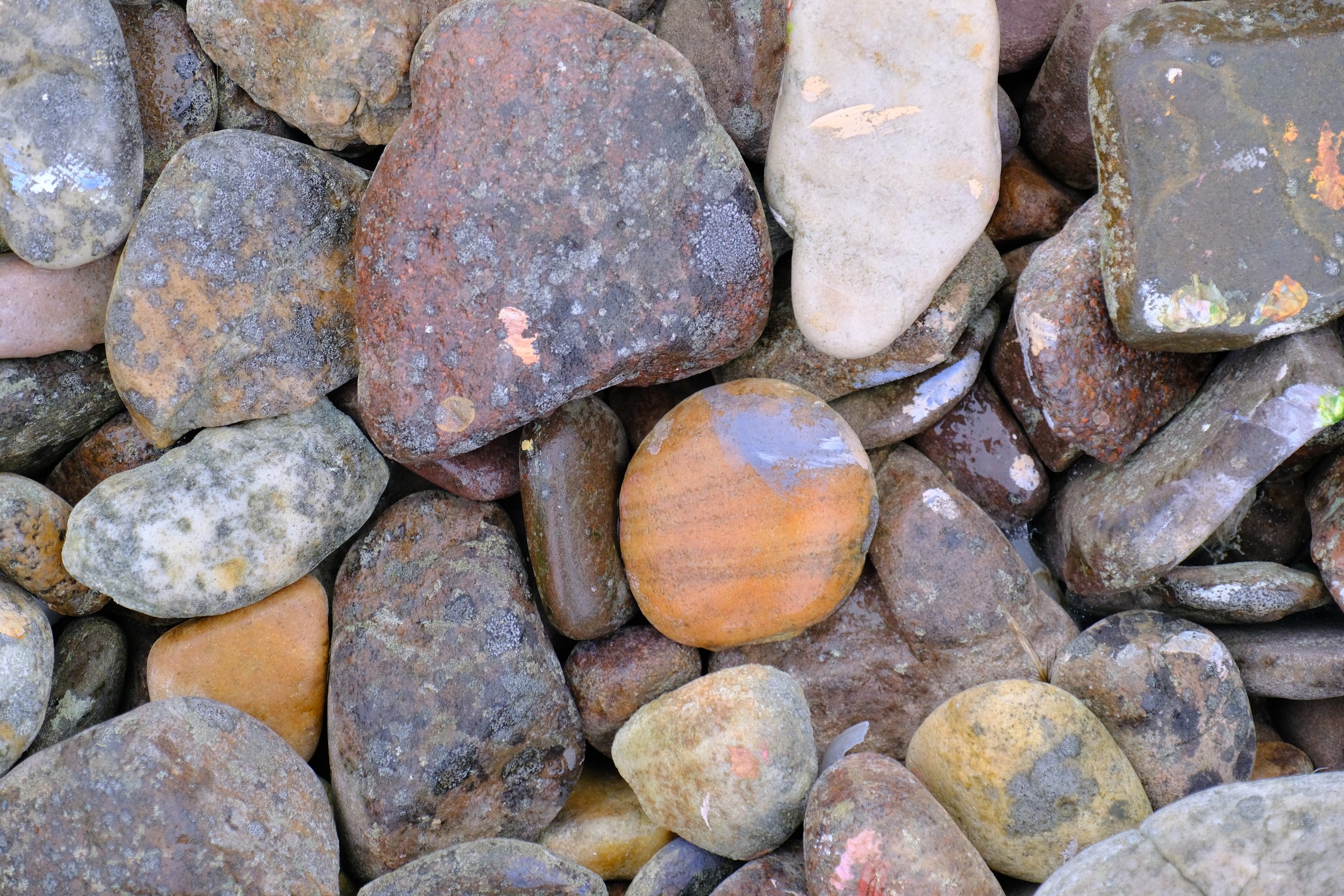 DSCF4137.JPG