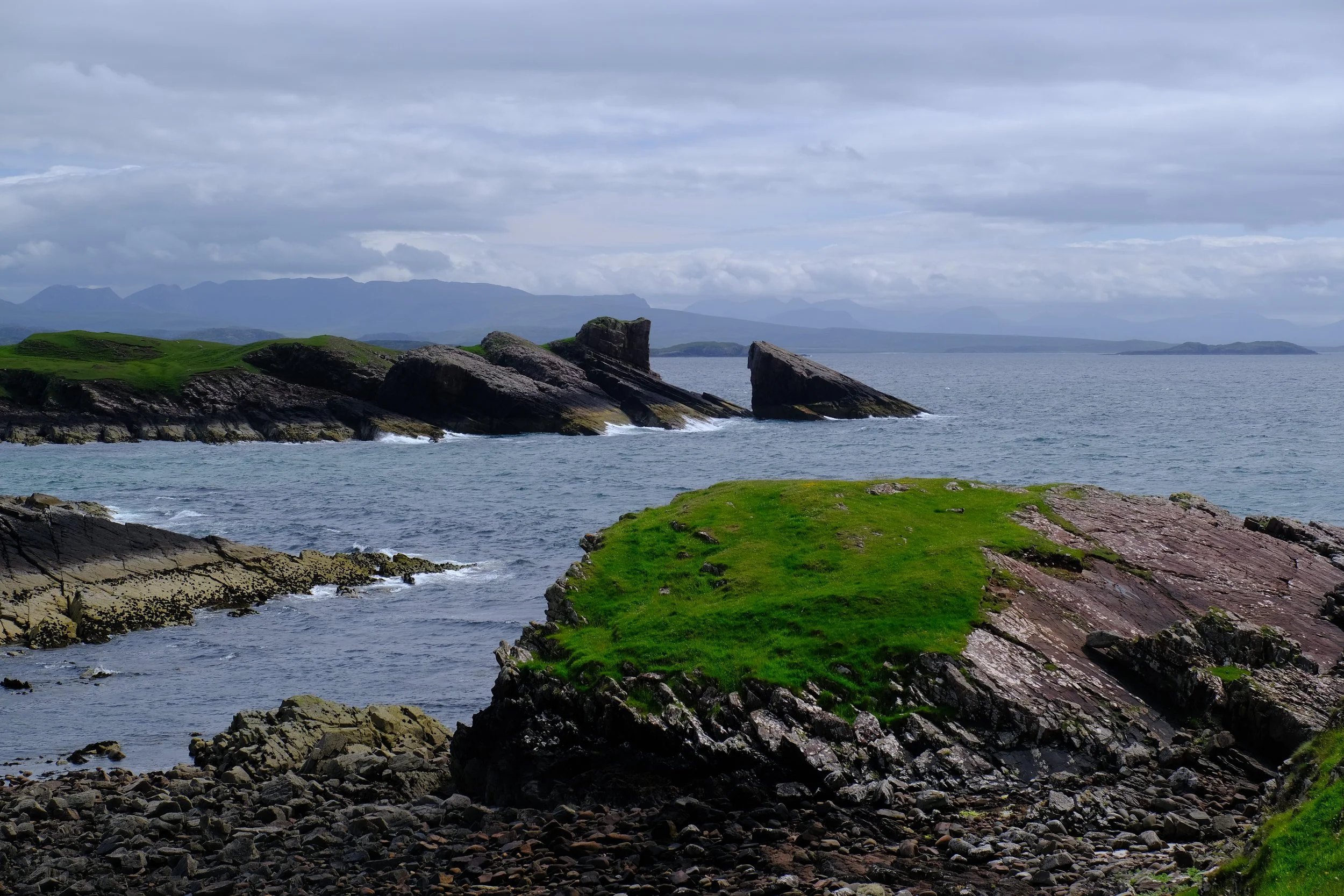 DSCF1564.JPG