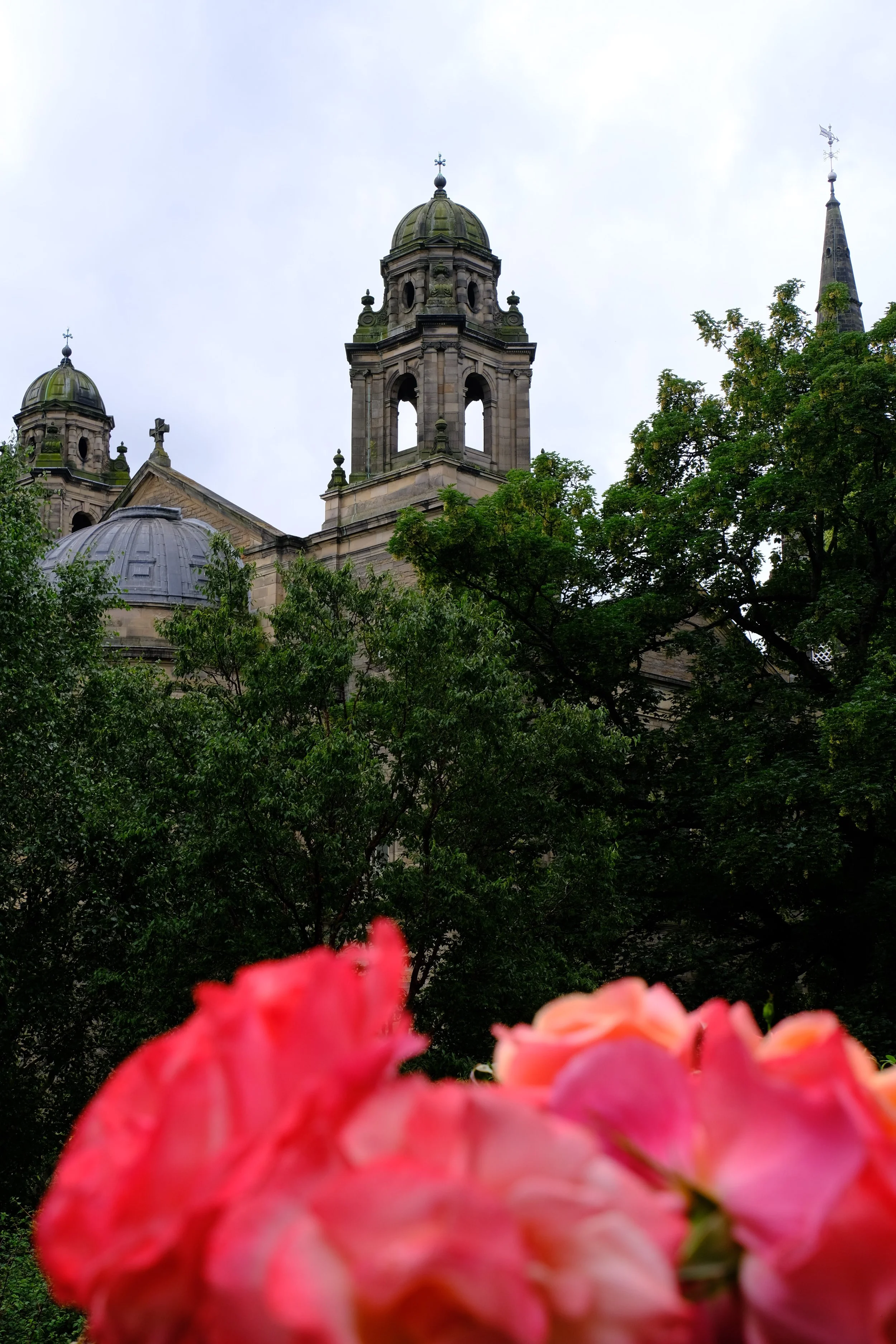 DSCF0784.JPG