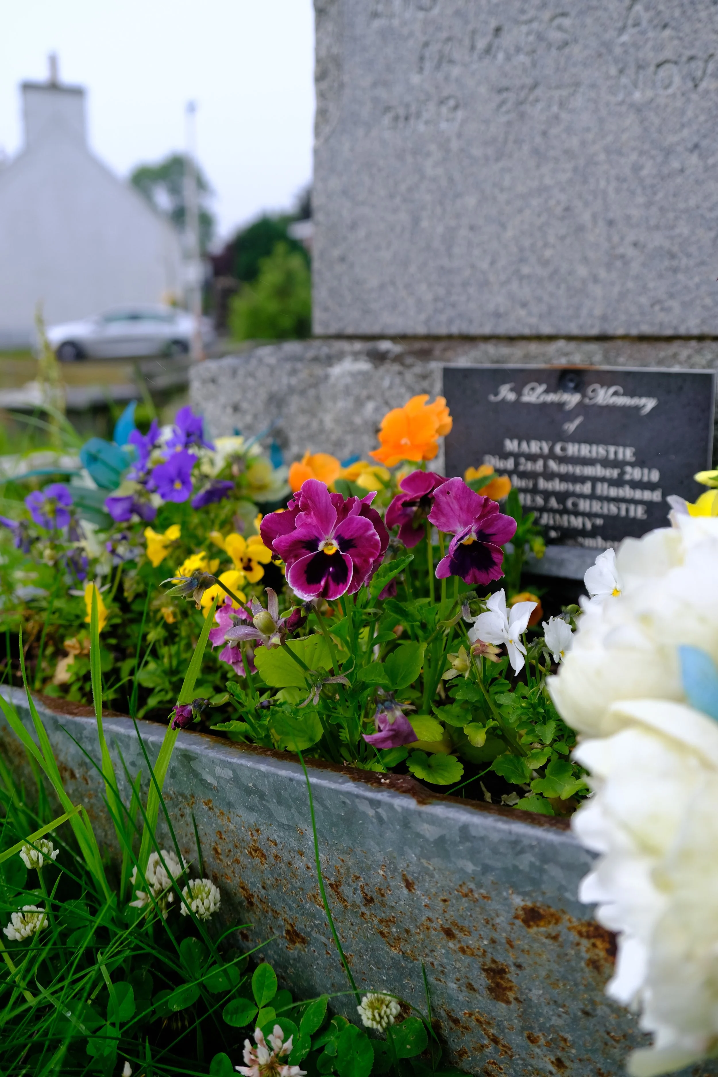 DSCF3880.JPG