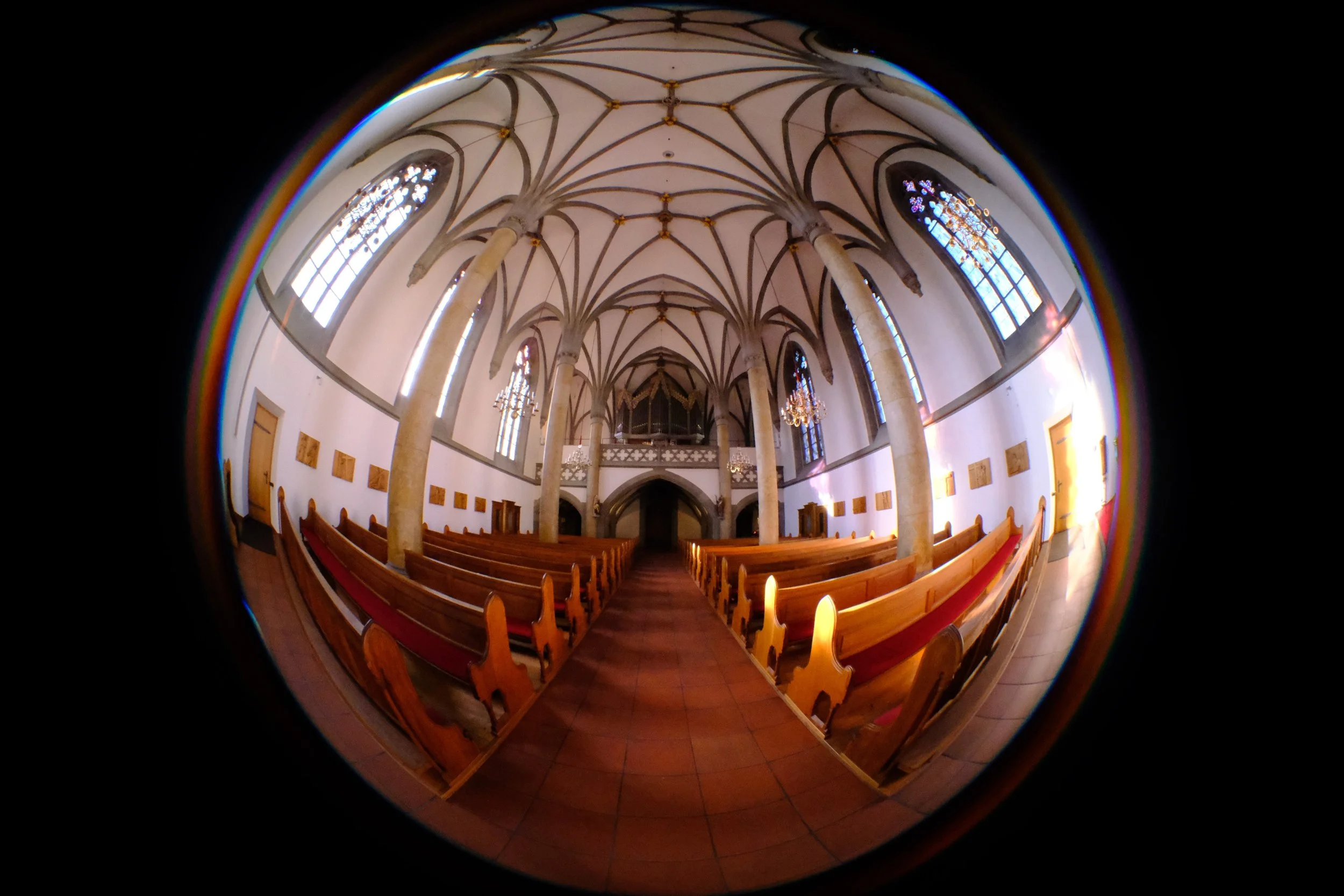 DSCF0250.JPG