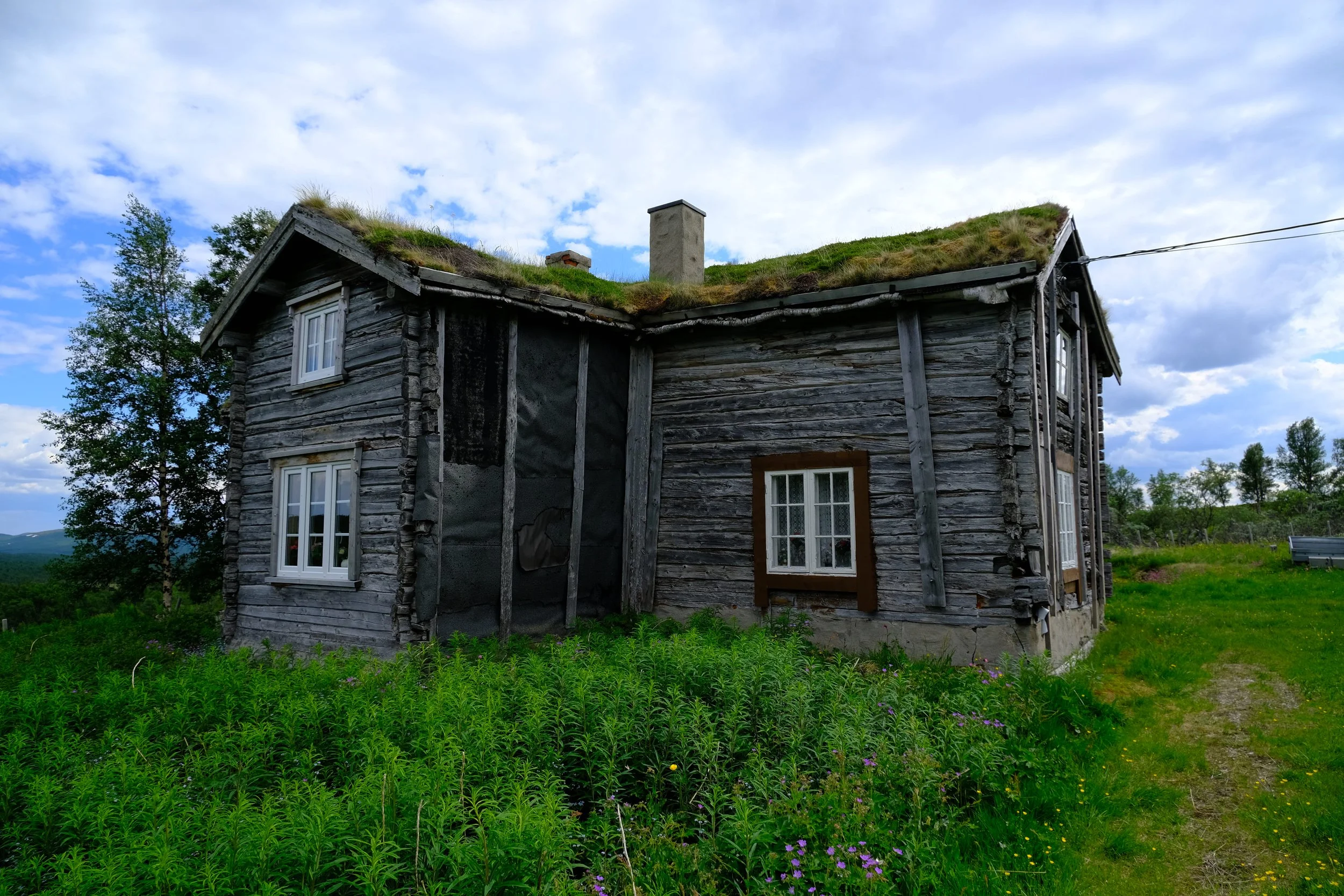 Ein altes, ramponiertes Holzhaus mit grünem Dach, weißen Fenstern und umgeben von grüner Wiese und Bäumen unter einem bewölkten Himmel.