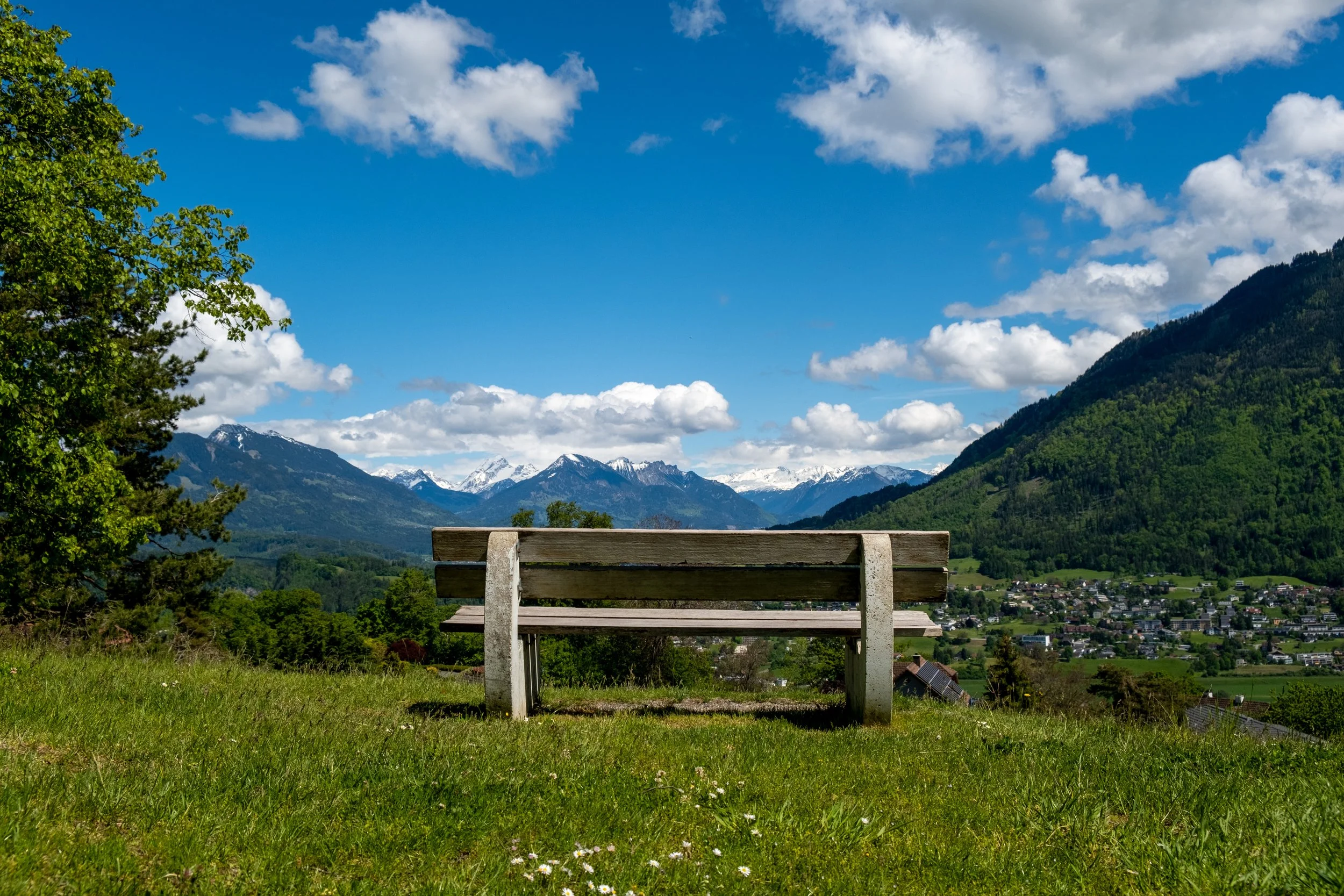 DSCF2583-1.jpg