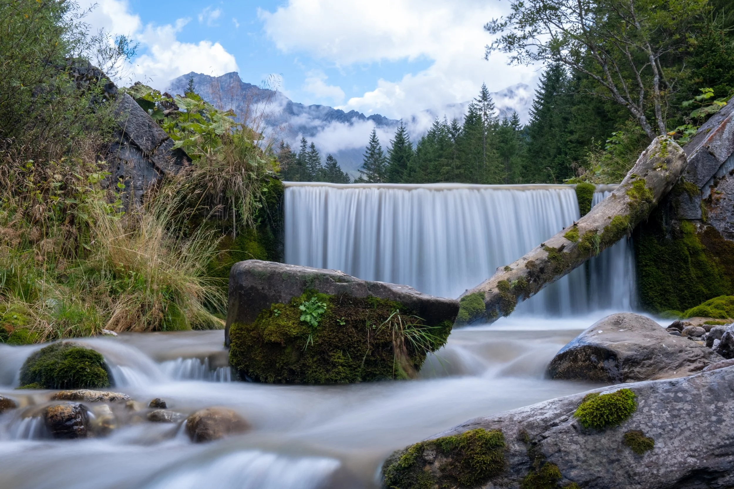 DSCF1740.jpg